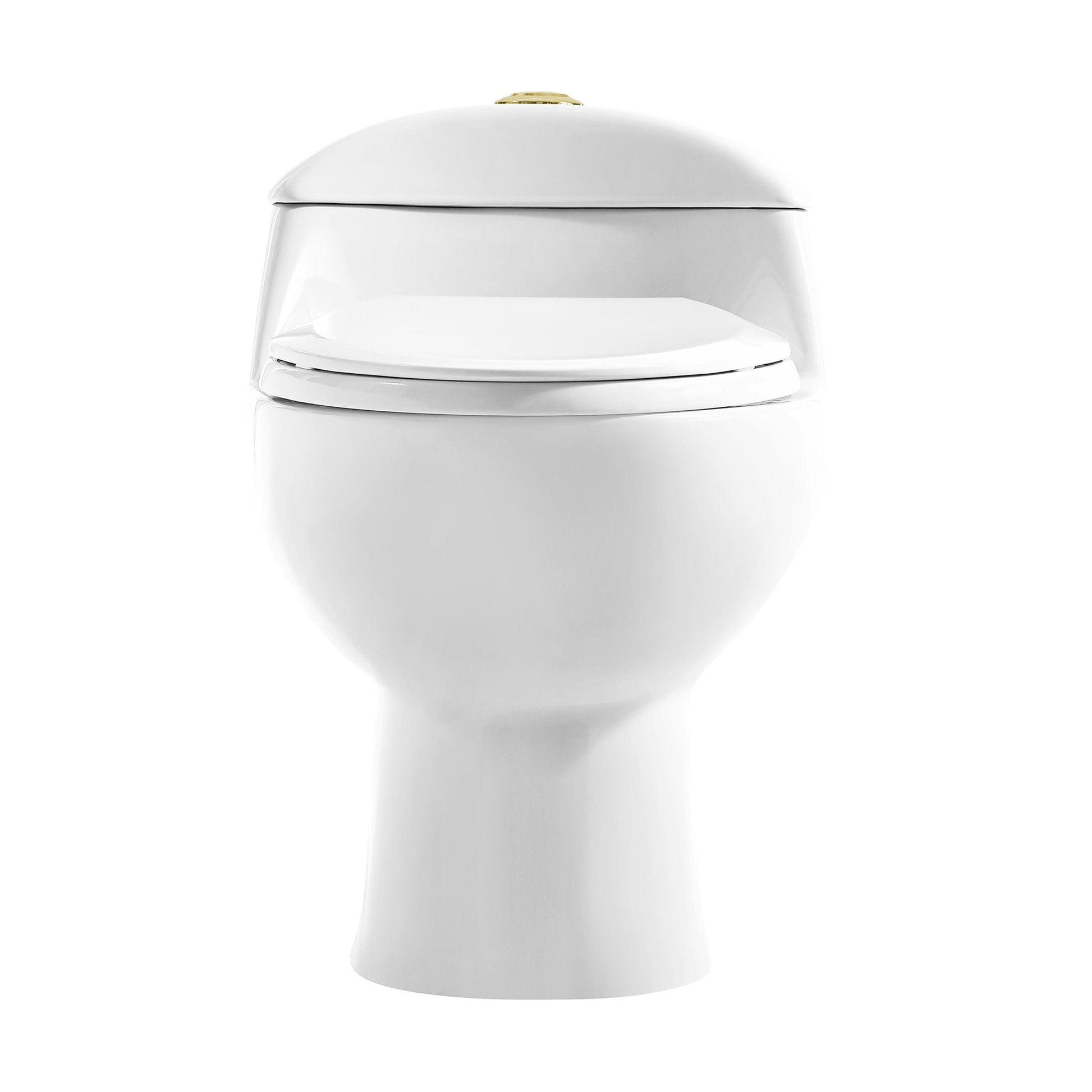 Glossy White / Gold