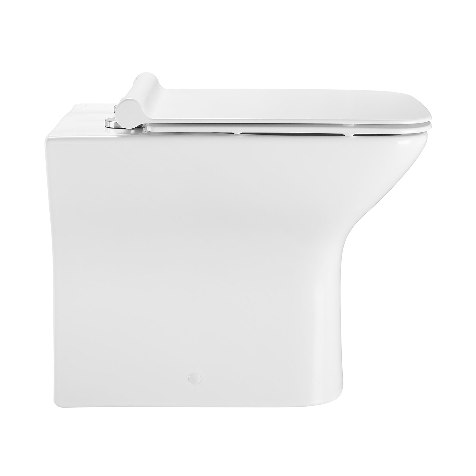 Glossy White / White