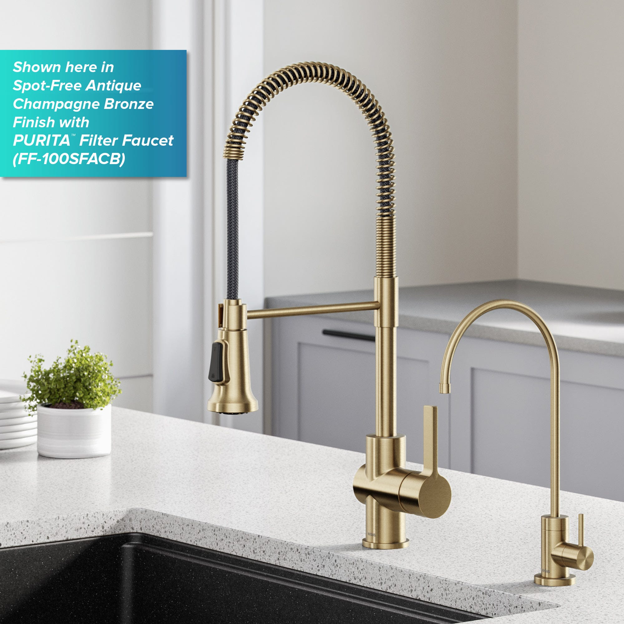 Brushed Brass / Pull Down