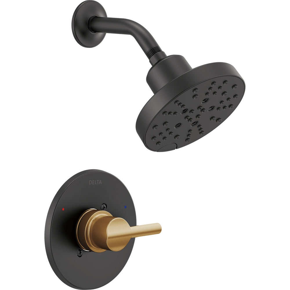 Matte Black / Champagne Bronze