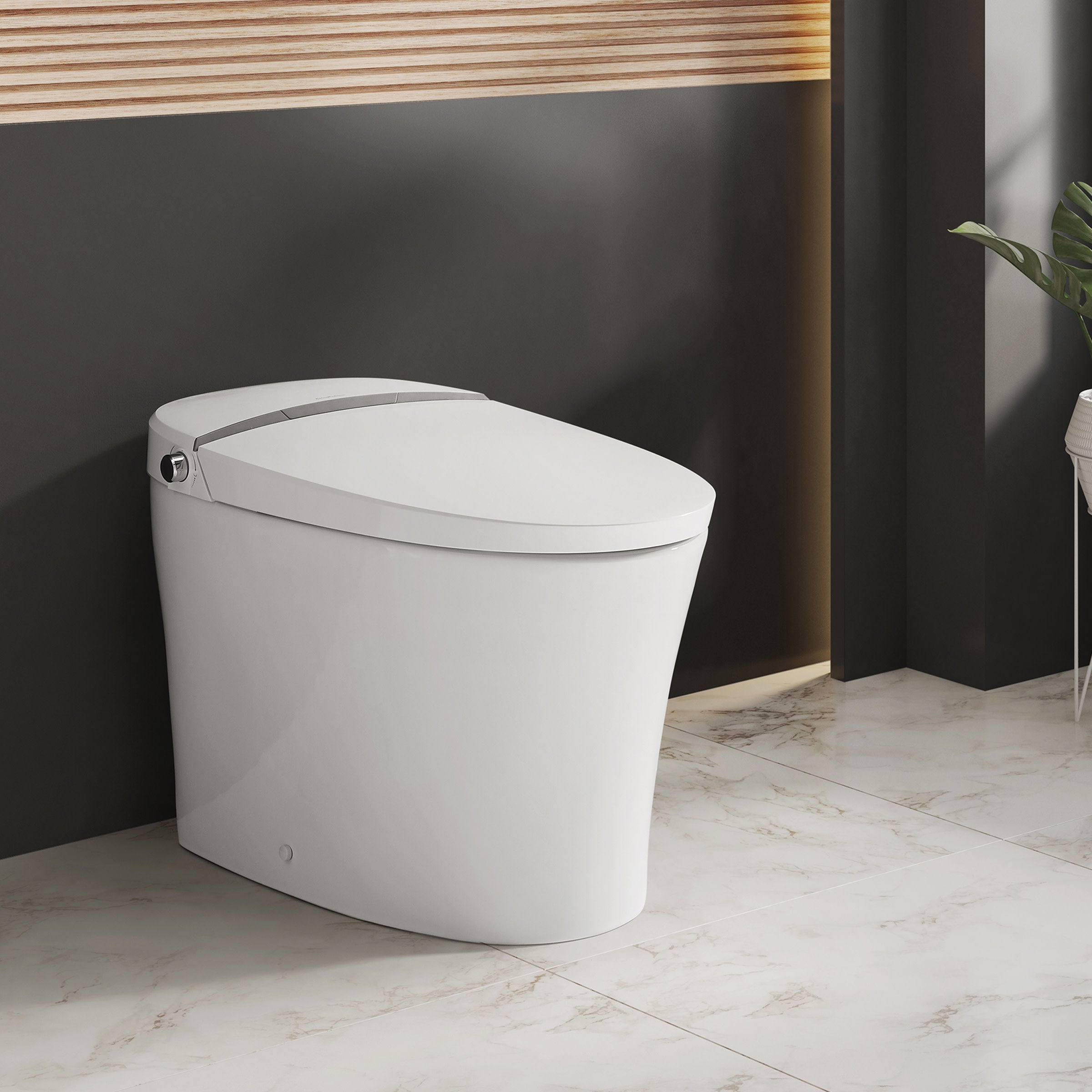 Glossy White / Smart Bidet
