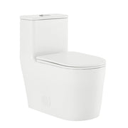 Glossy White / Dual - Top