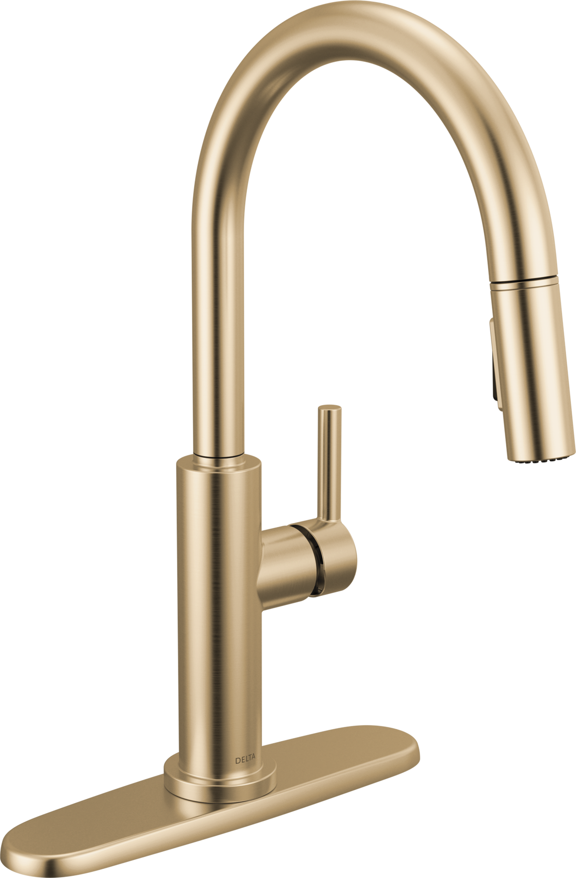 Champagne Bronze