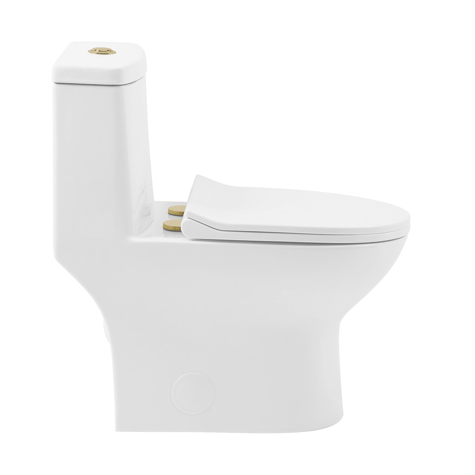 Glossy White / Dual - Top / Gold