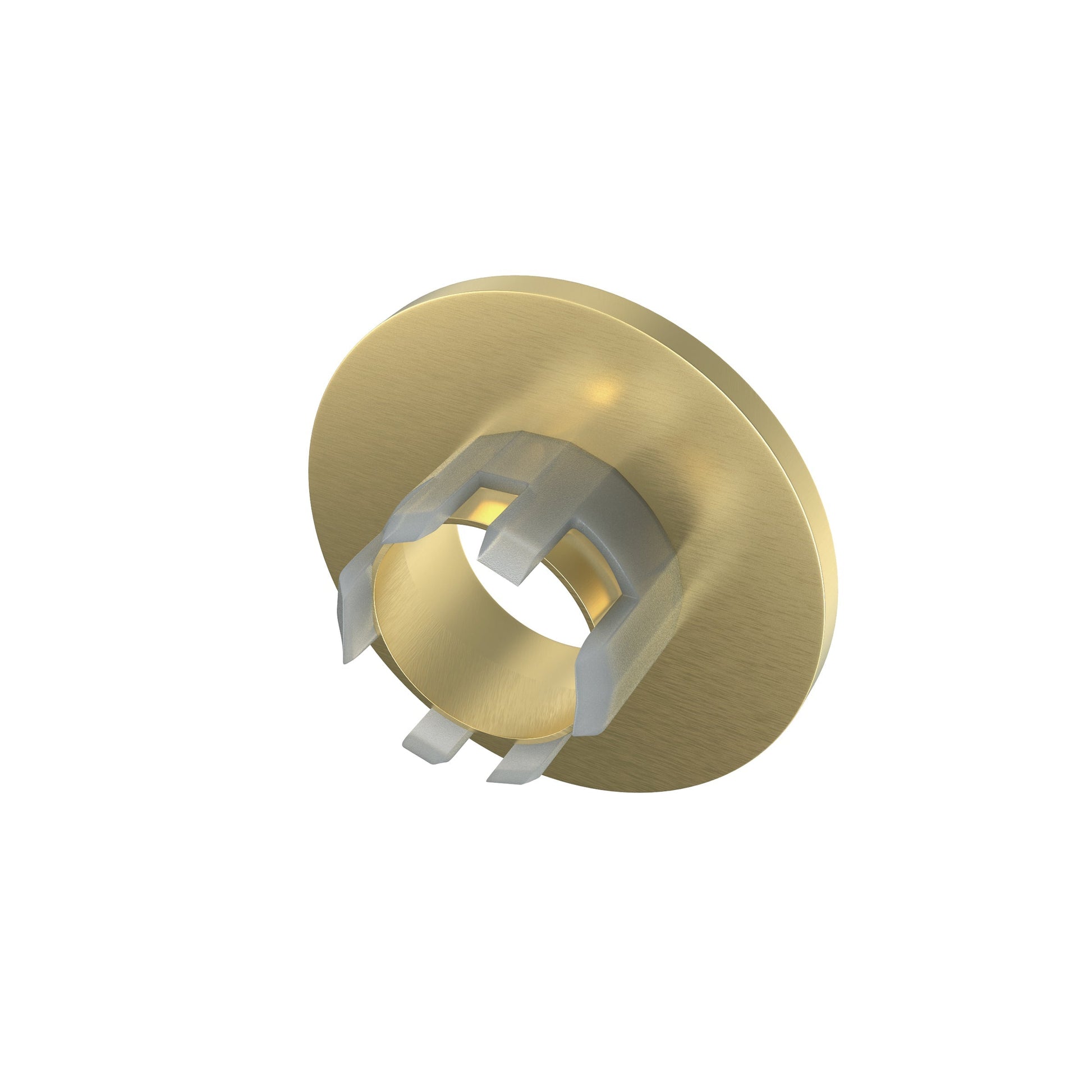 Brushed Gold