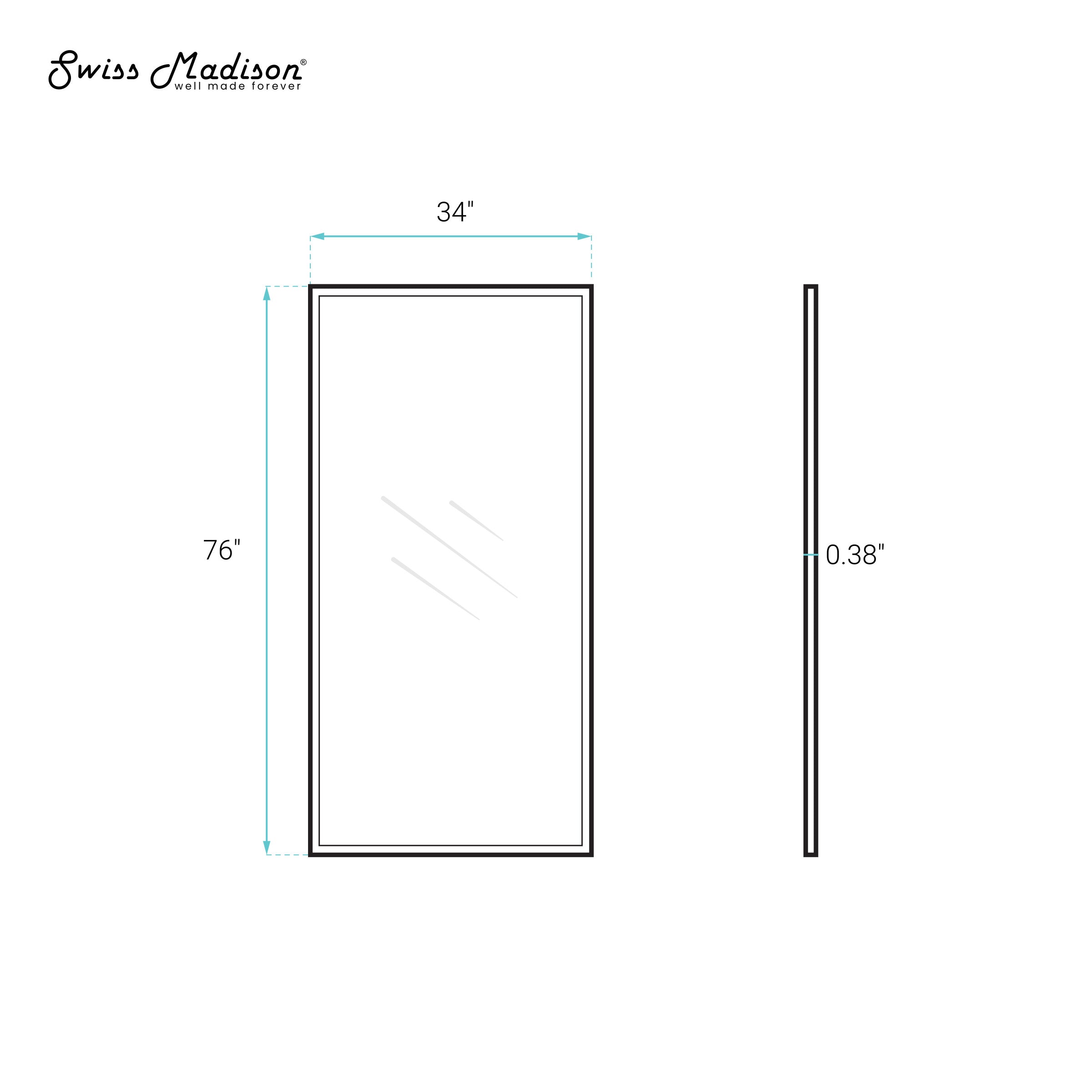 Matte Black / Shower Door