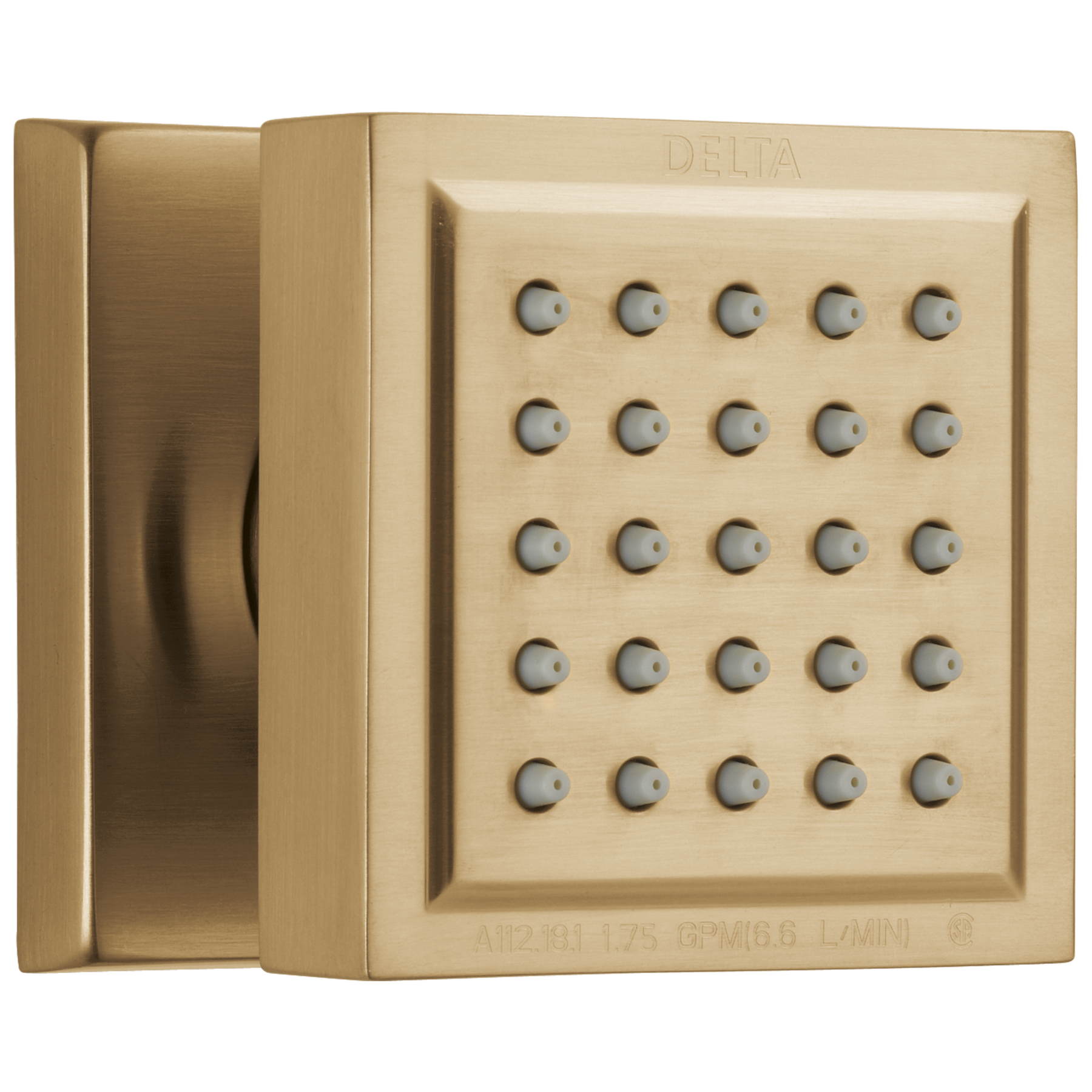 Champagne Bronze
