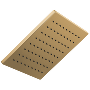 Champagne Bronze