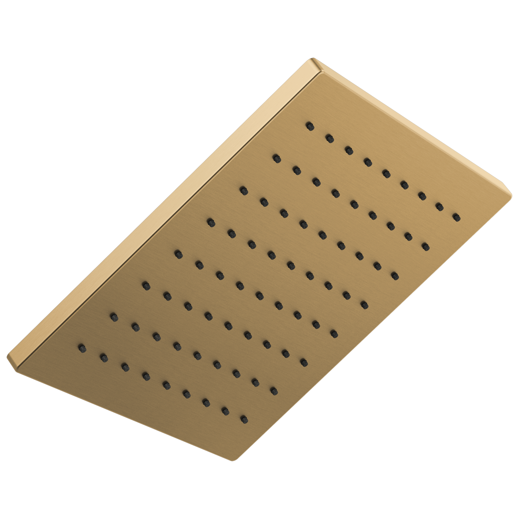 Champagne Bronze