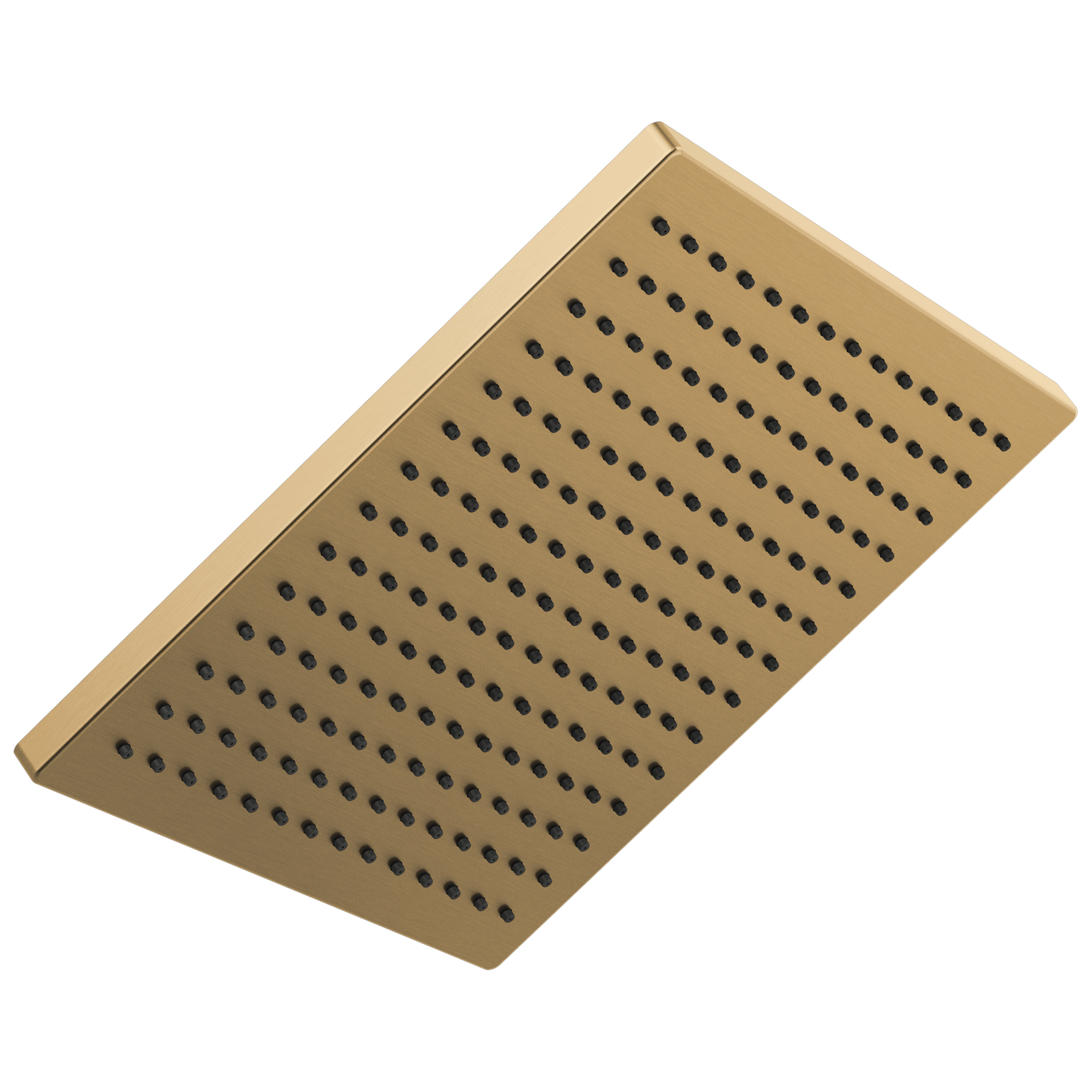 Champagne Bronze