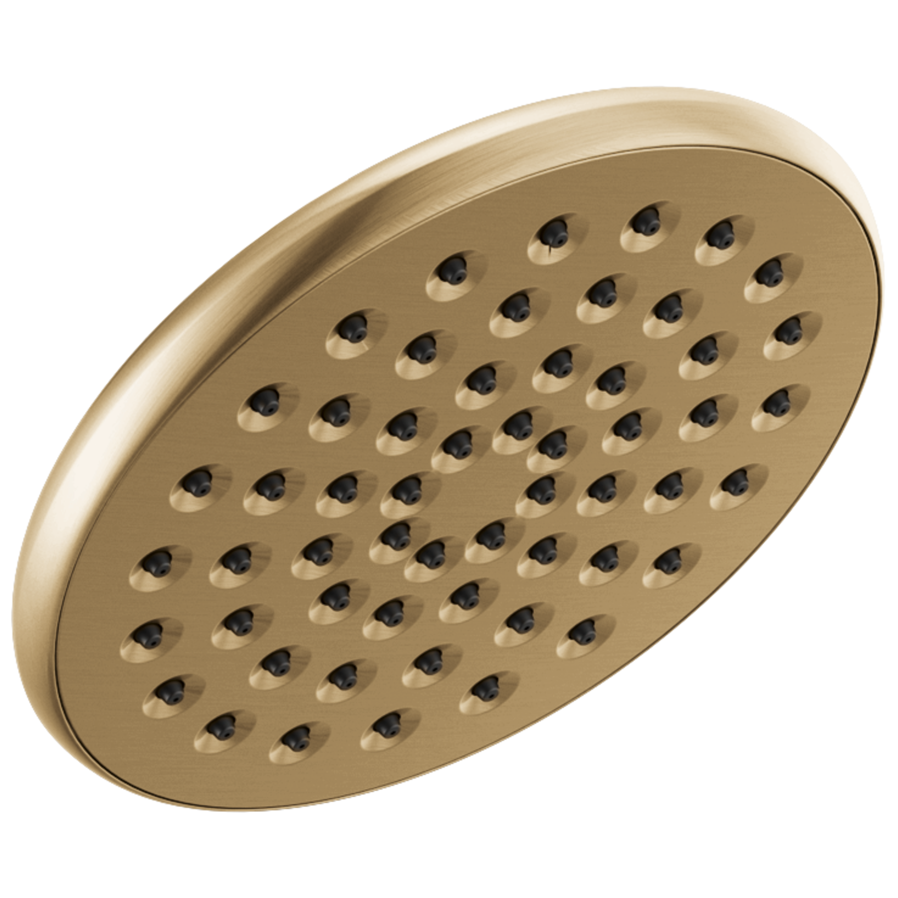 Champagne Bronze