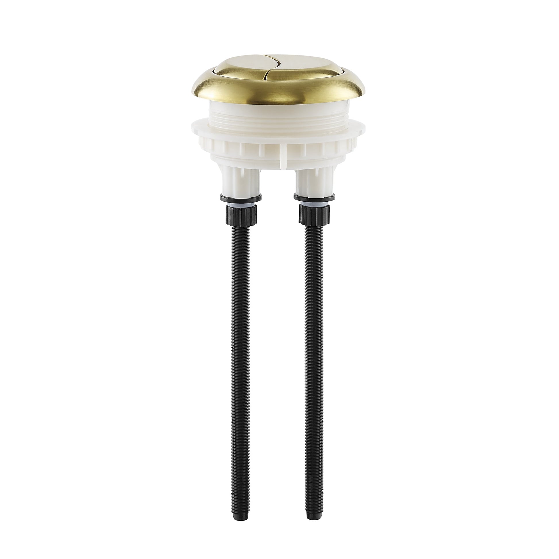 Brushed Gold / Round / SM-1T803