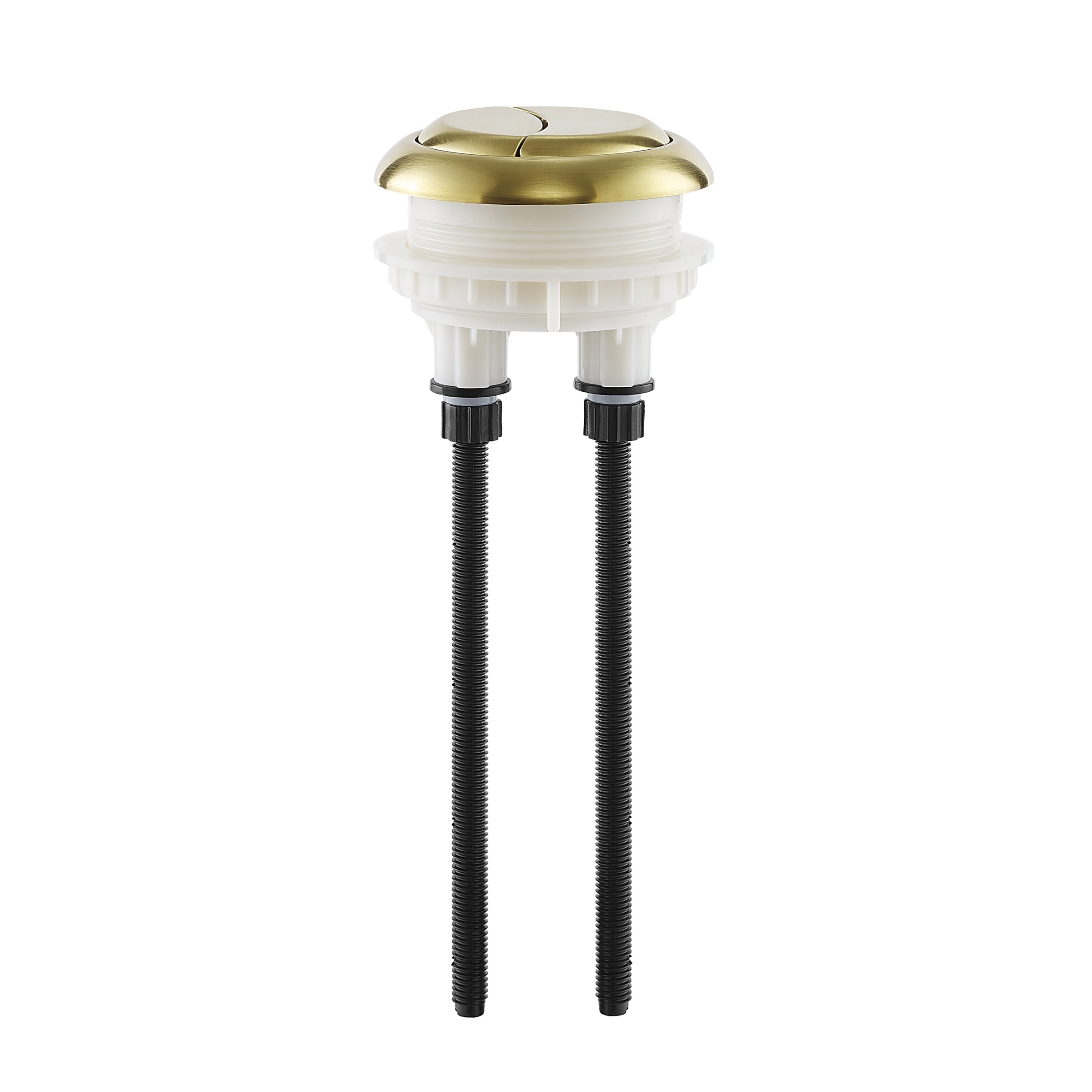 Brushed Gold / Round / SM-1T803