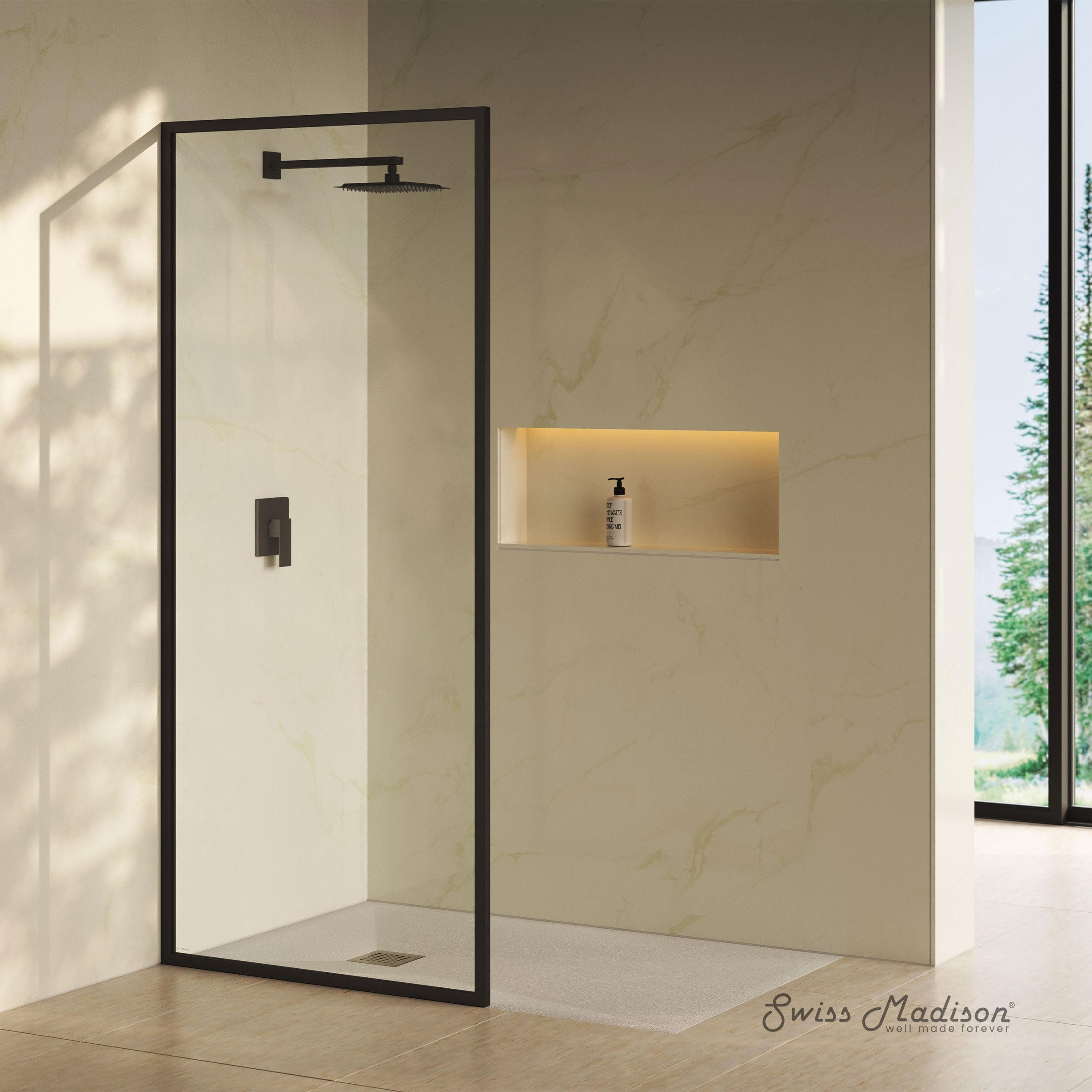 Matte Black / Shower Door