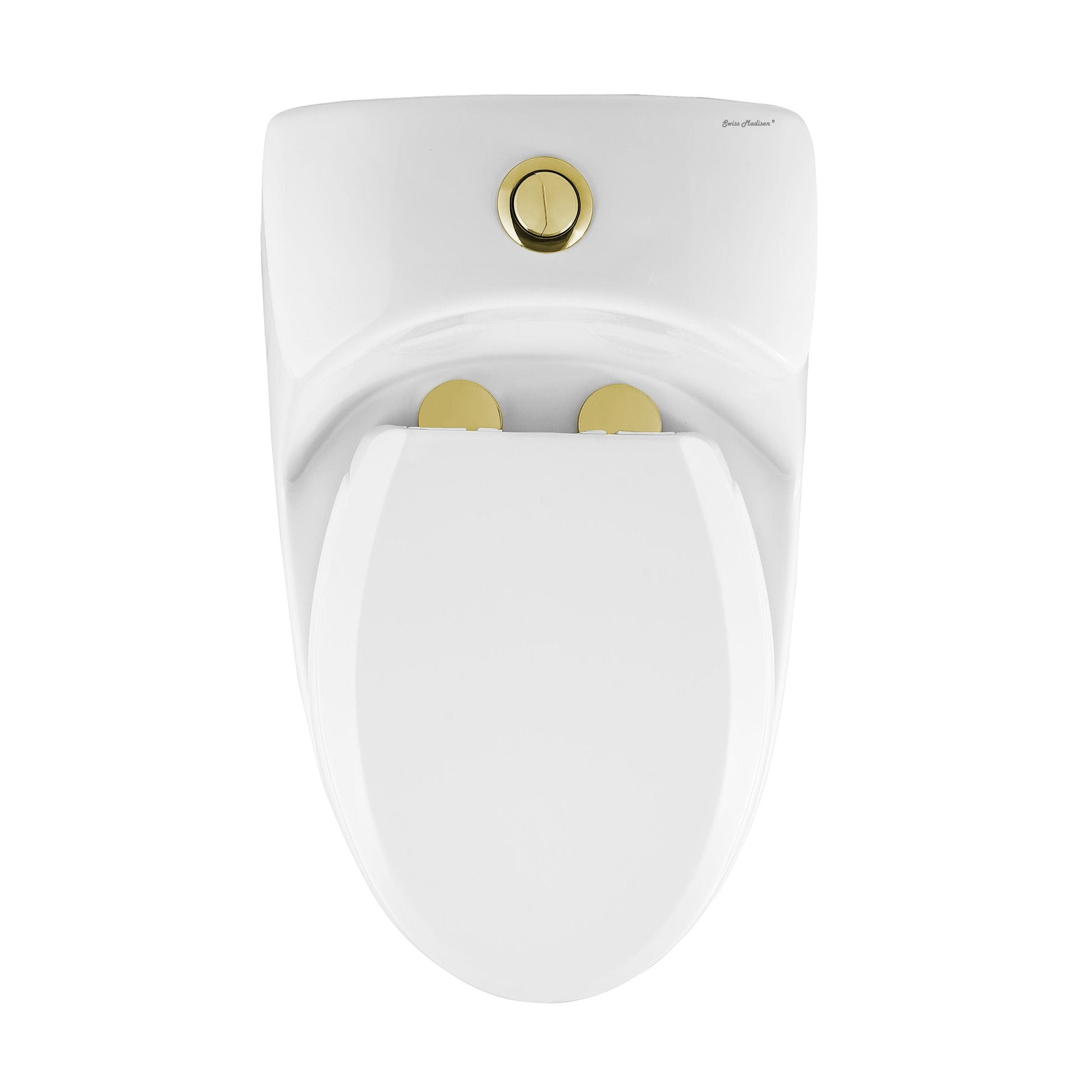 Glossy White / Gold