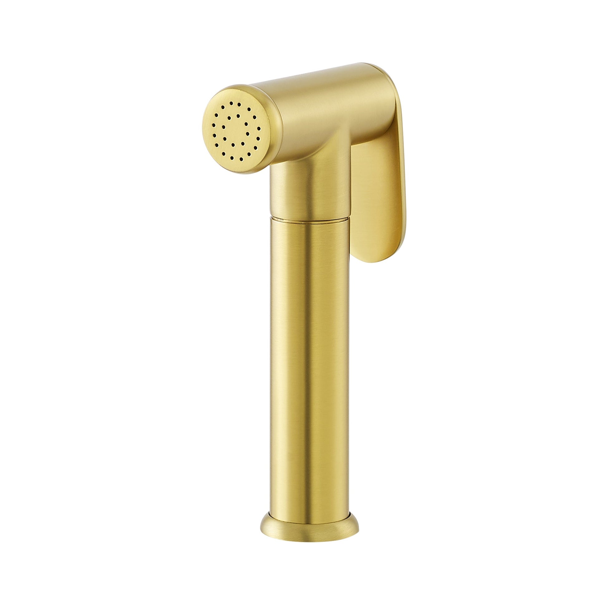 Brushed Gold / Gold