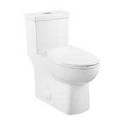 Glossy White / Dual - Top