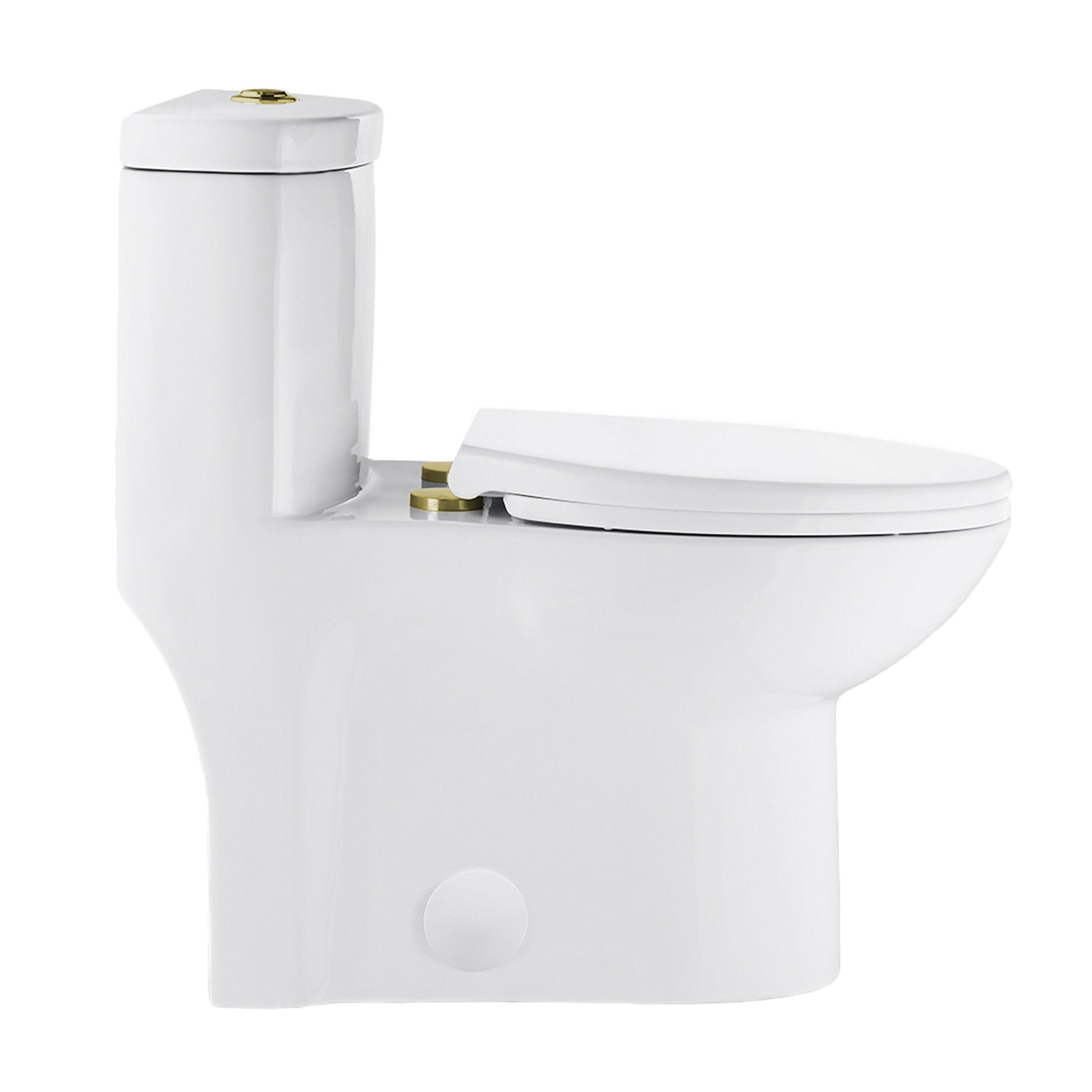 Glossy White / Dual - Top / Gold