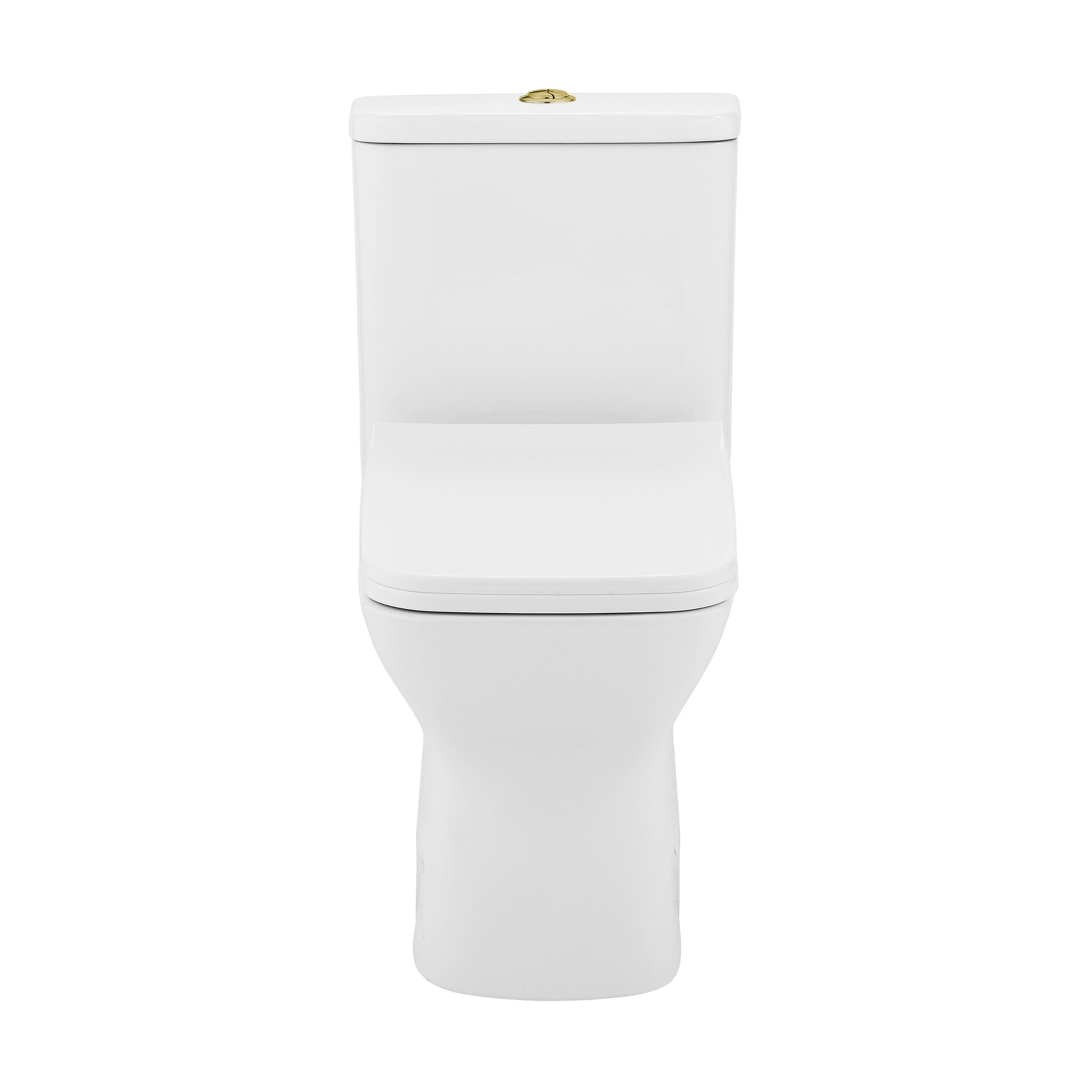 Glossy White / Dual - Top / Gold