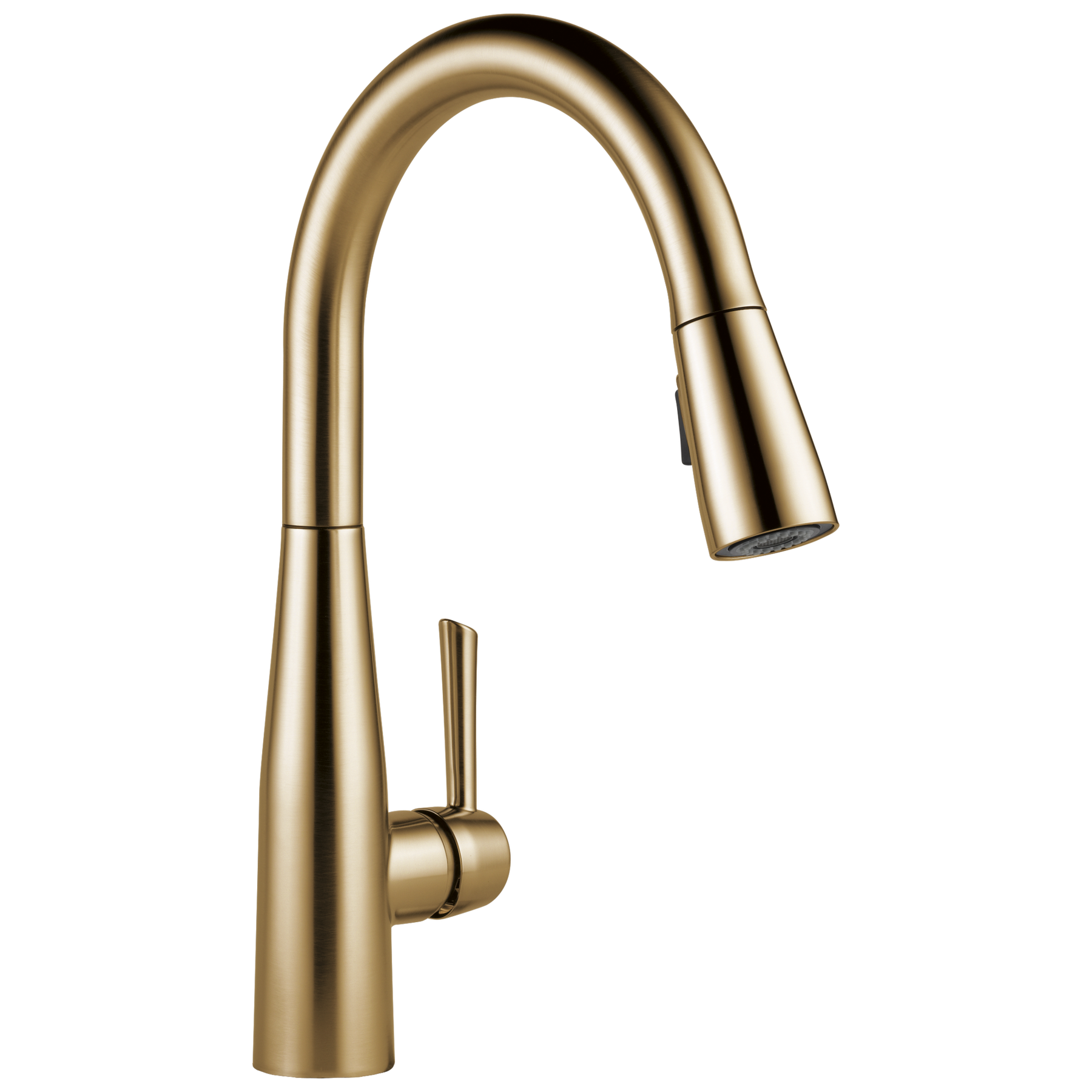 Champagne Bronze