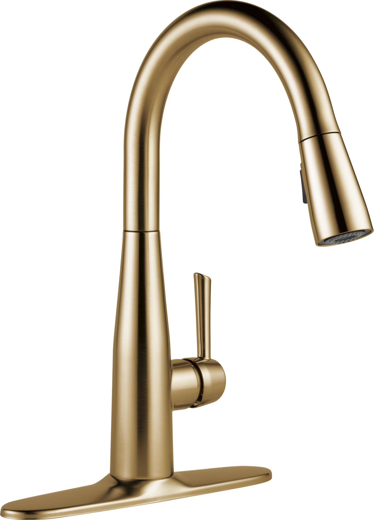 Champagne Bronze
