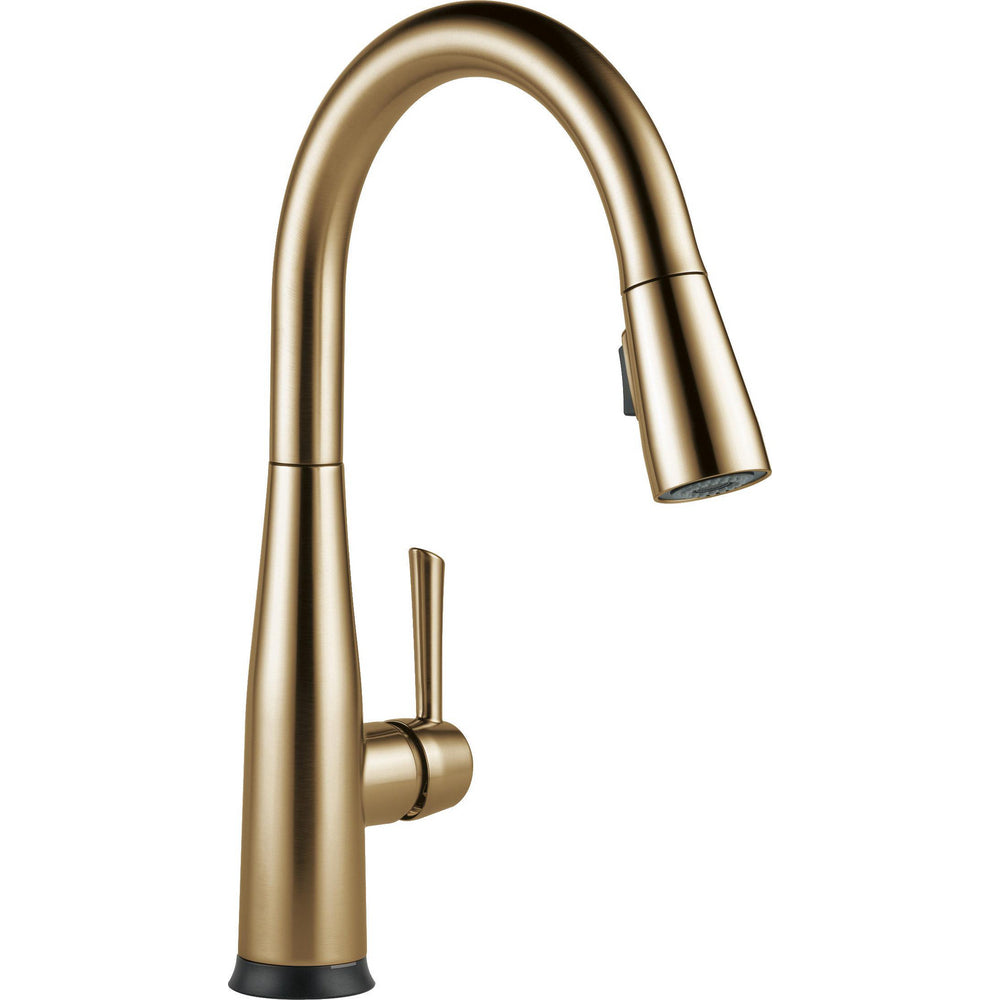 Champagne Bronze
