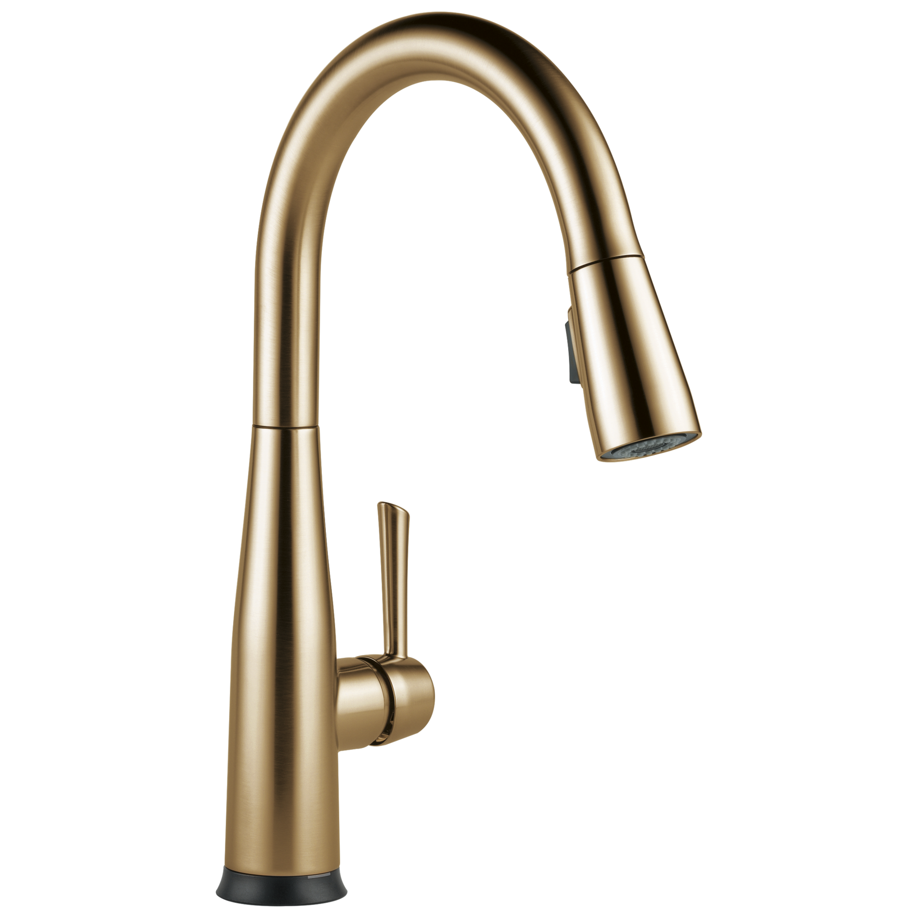 Champagne Bronze