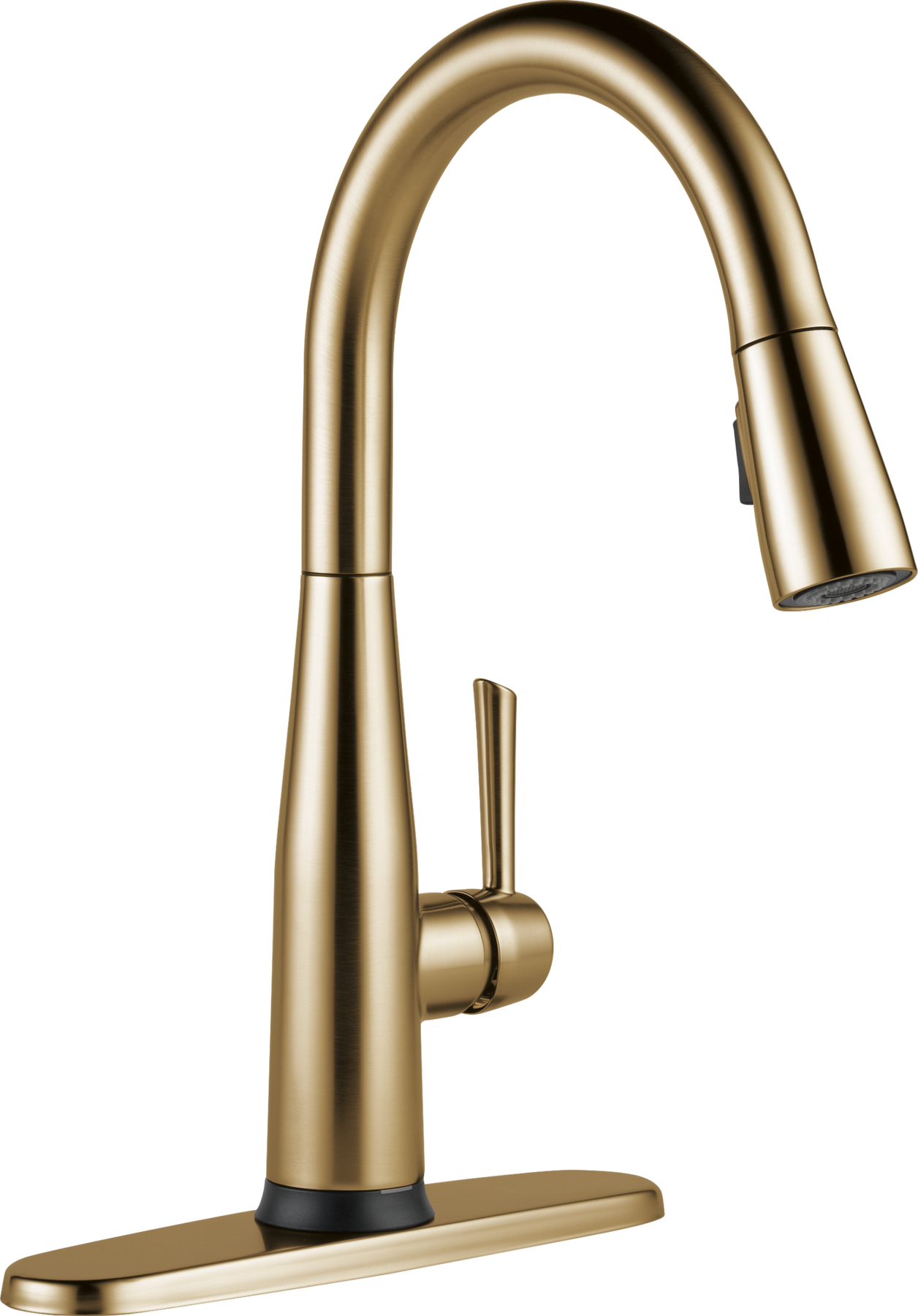 Champagne Bronze