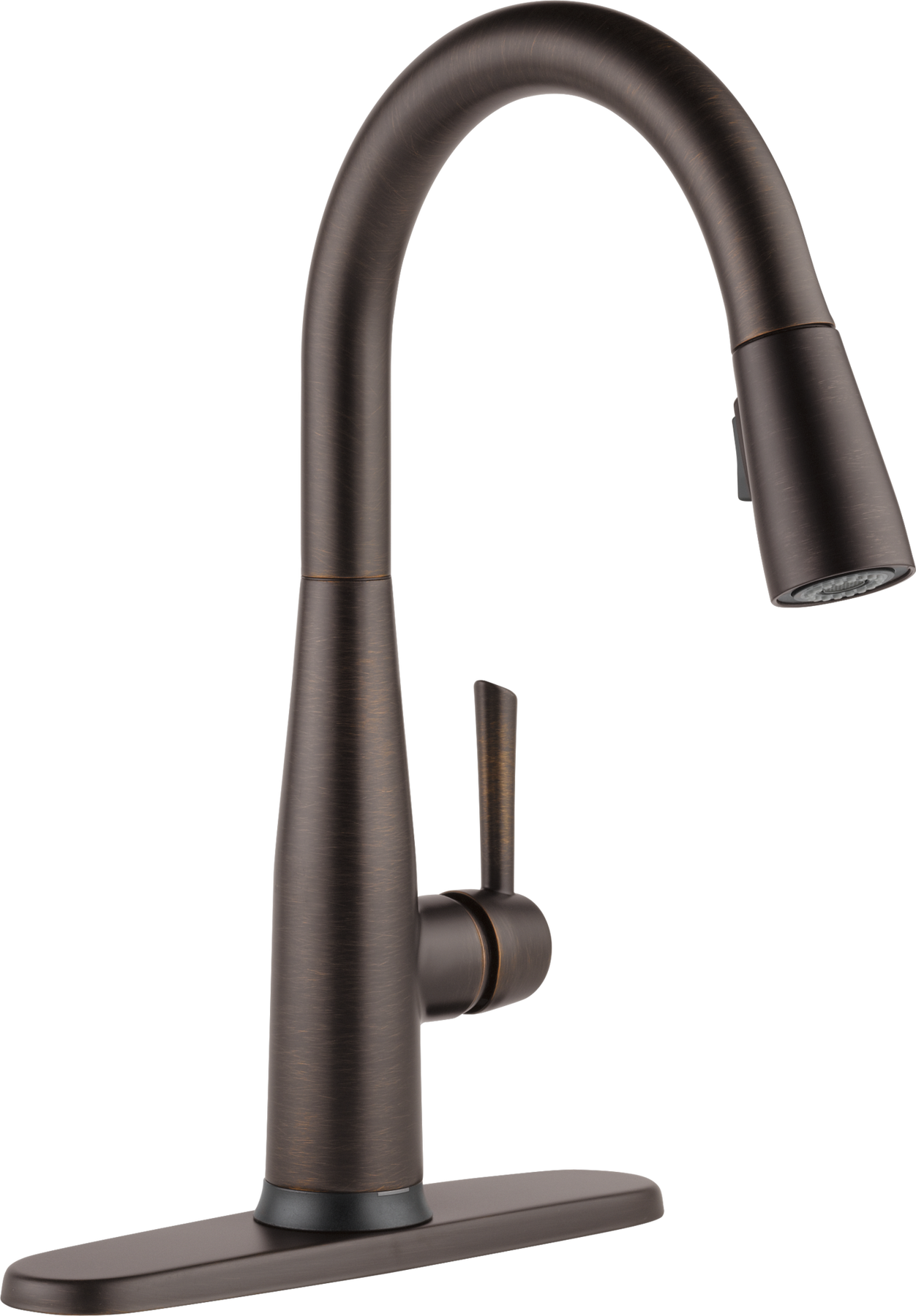 Venetian Bronze