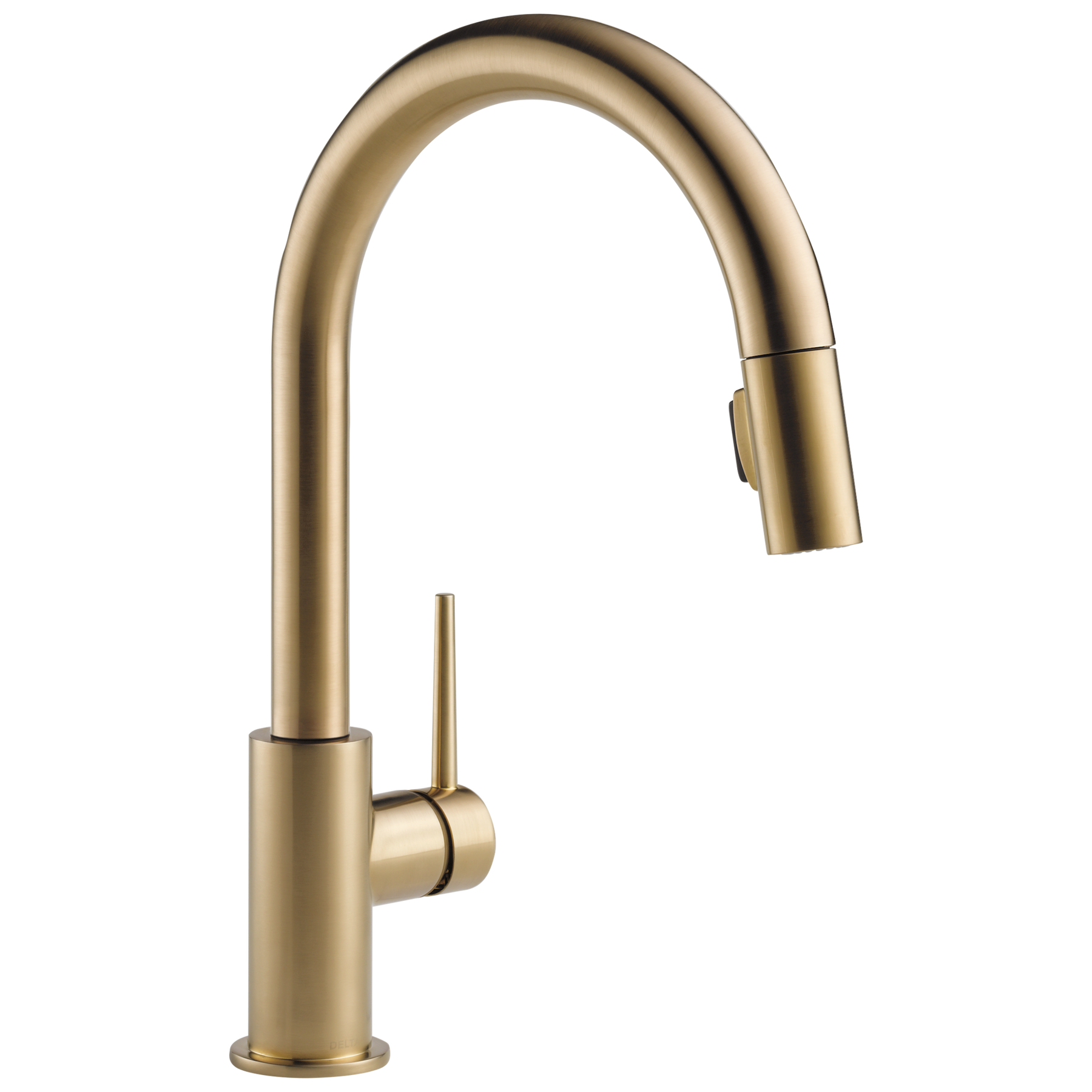 Champagne Bronze