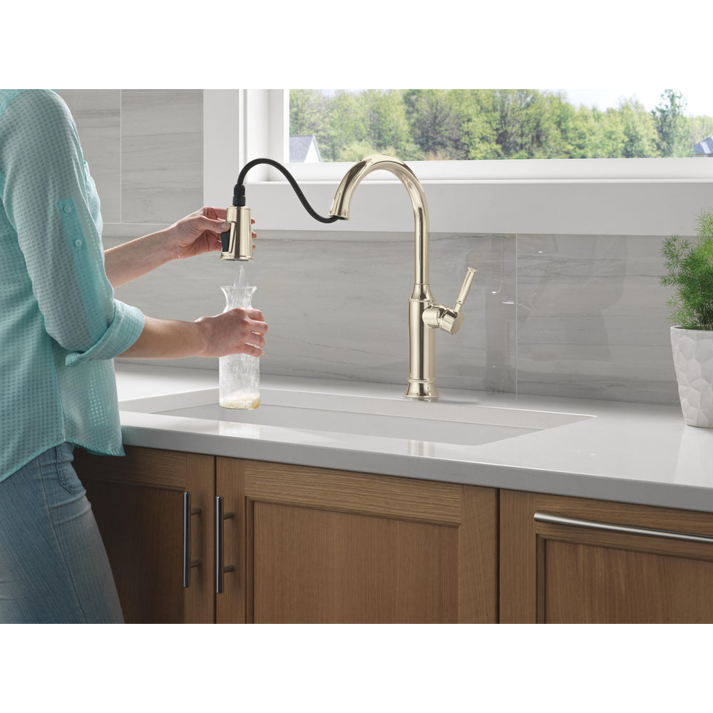 Polished Nickel