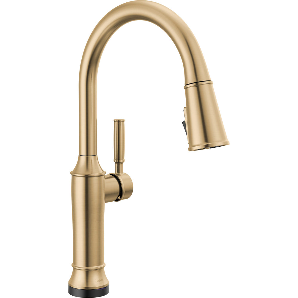 Champagne Bronze