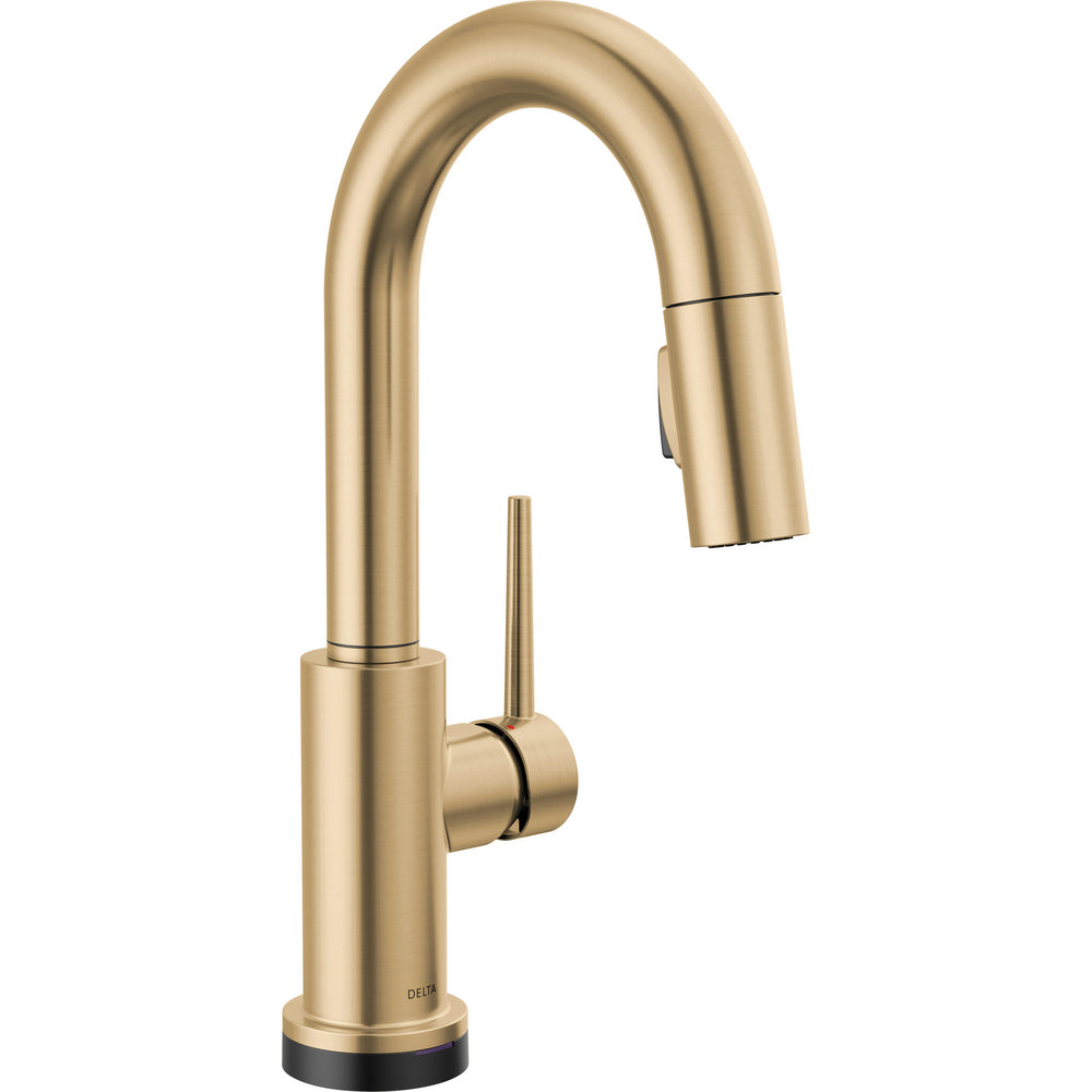 Champagne Bronze