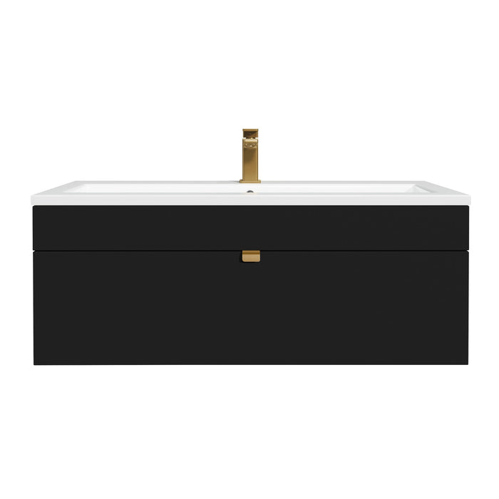 Black / Gold