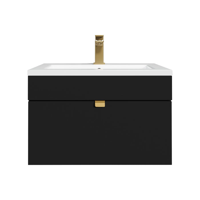 Black / Gold