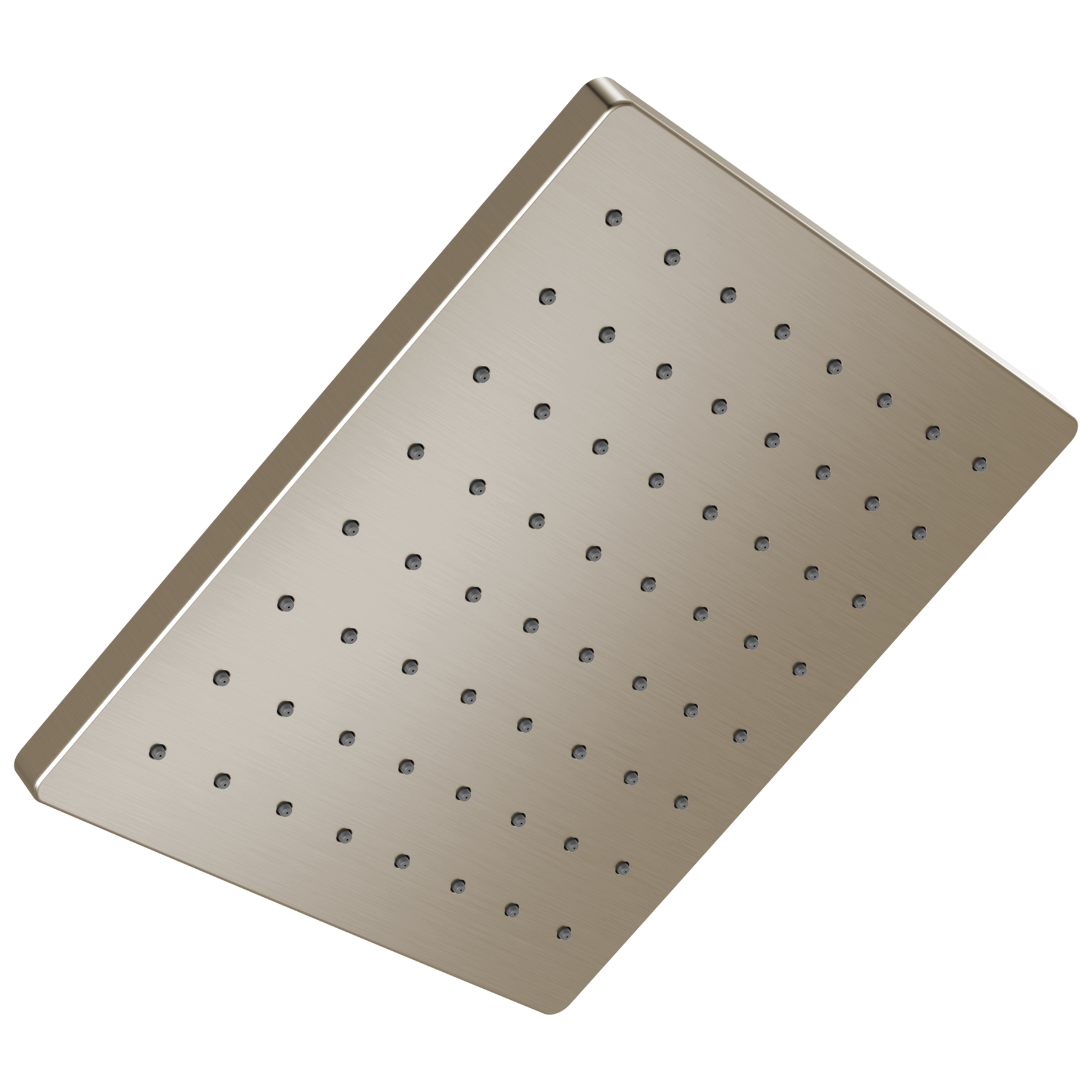 Spotshield Brushed Nickel