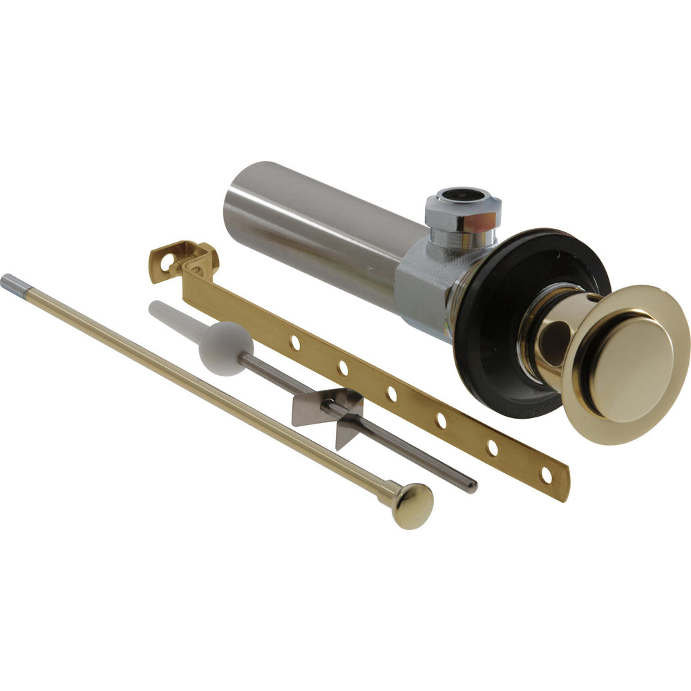 Polished Brass