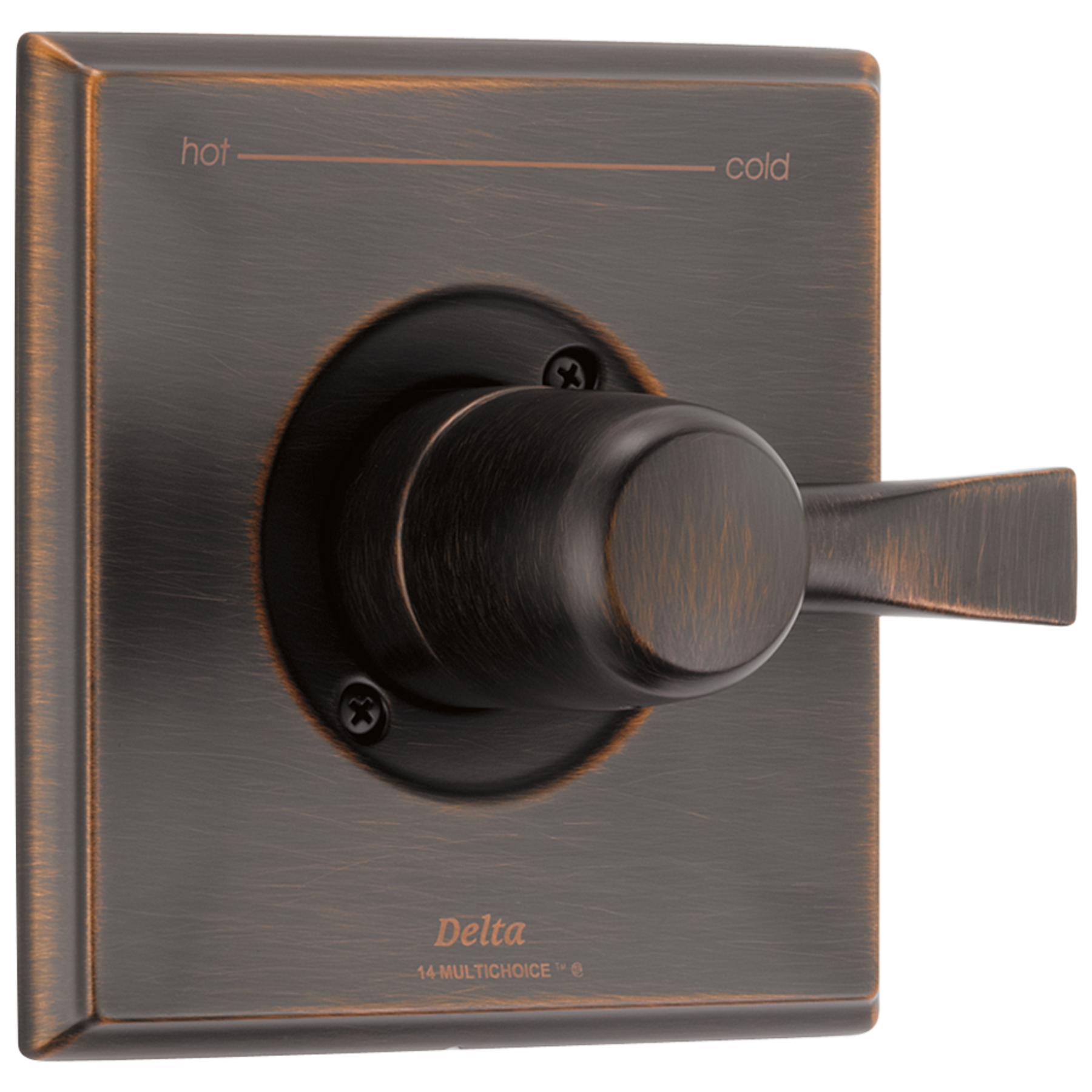 Venetian Bronze