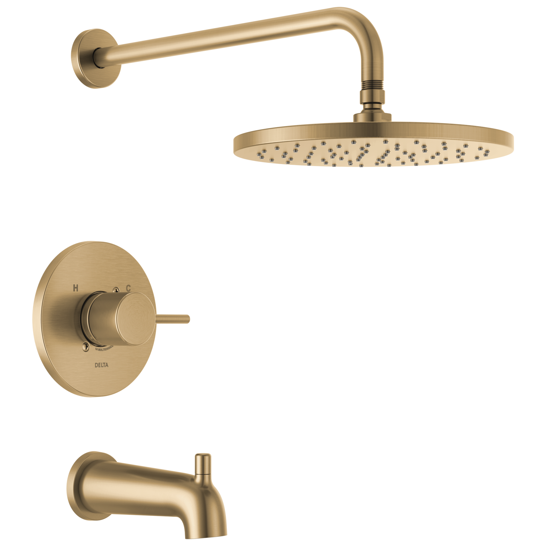 Champagne Bronze