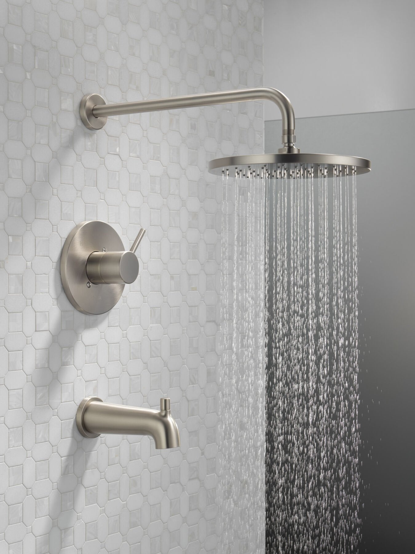 Spotshield Brushed Nickel