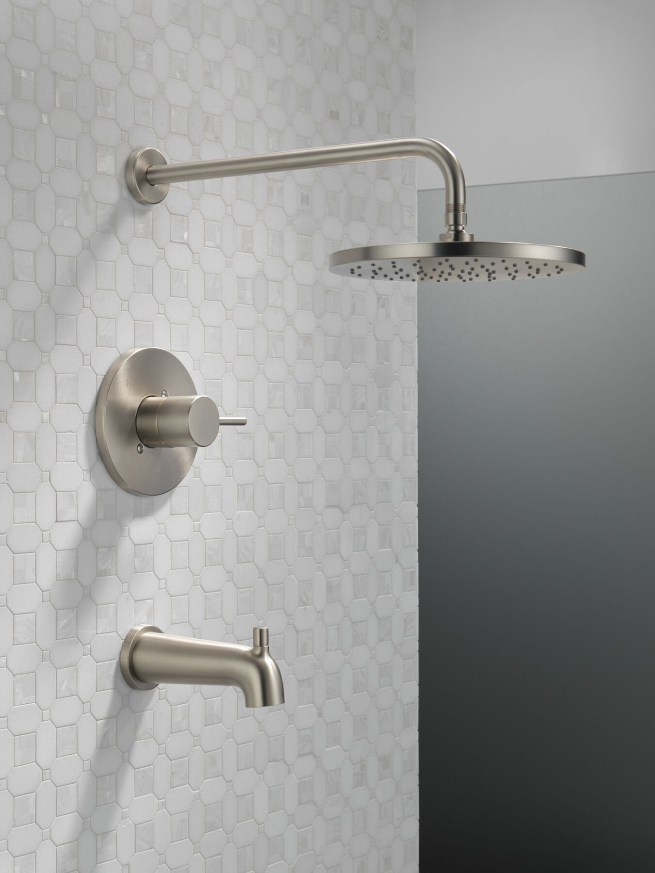 Spotshield Brushed Nickel