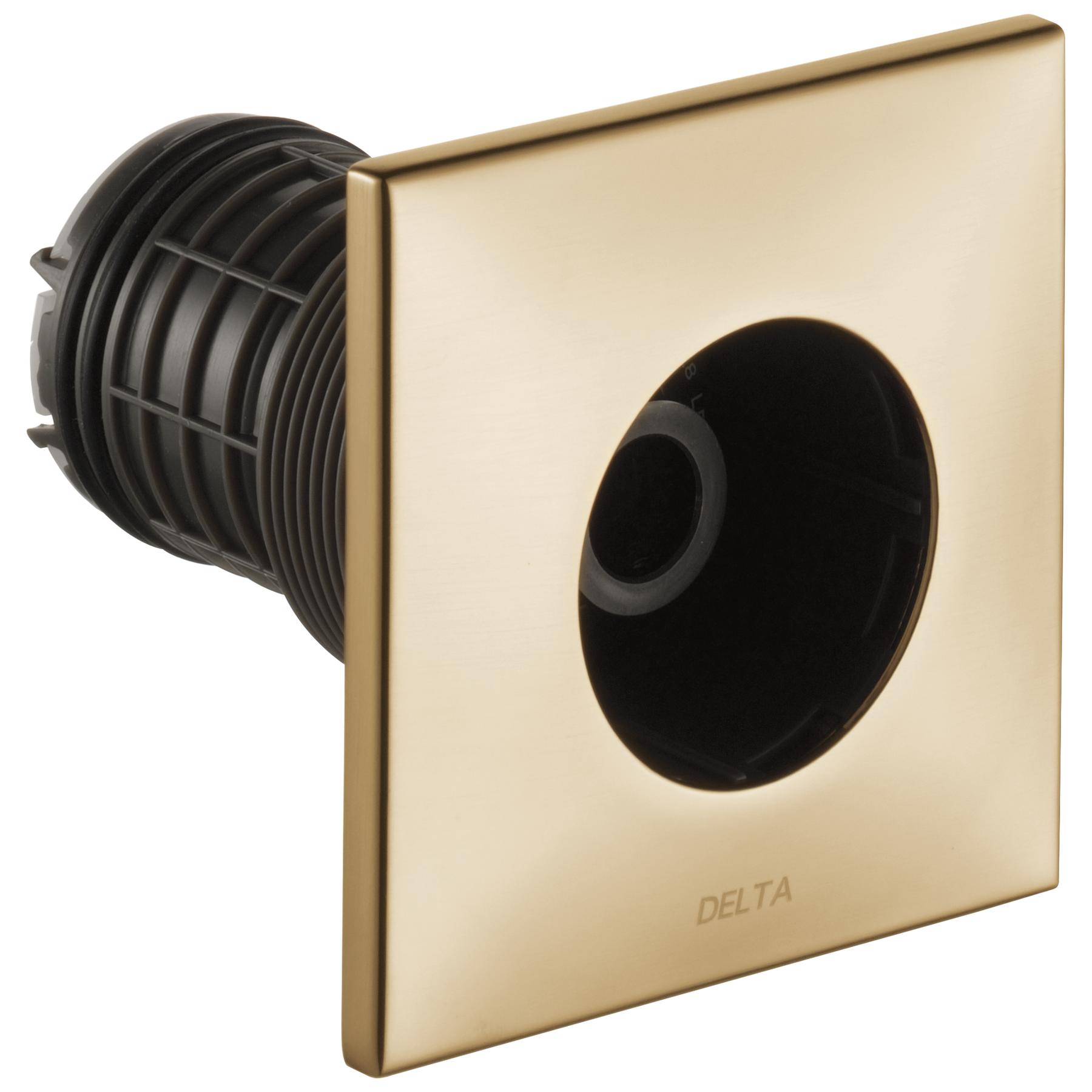 Champagne Bronze