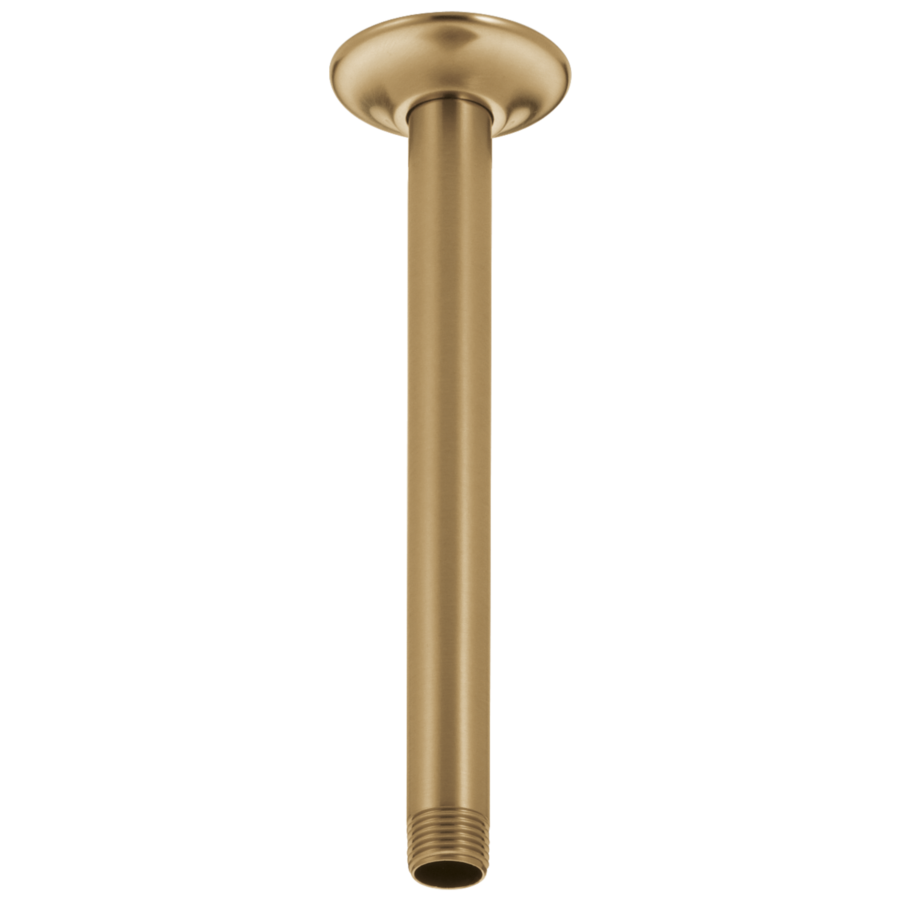 Champagne Bronze