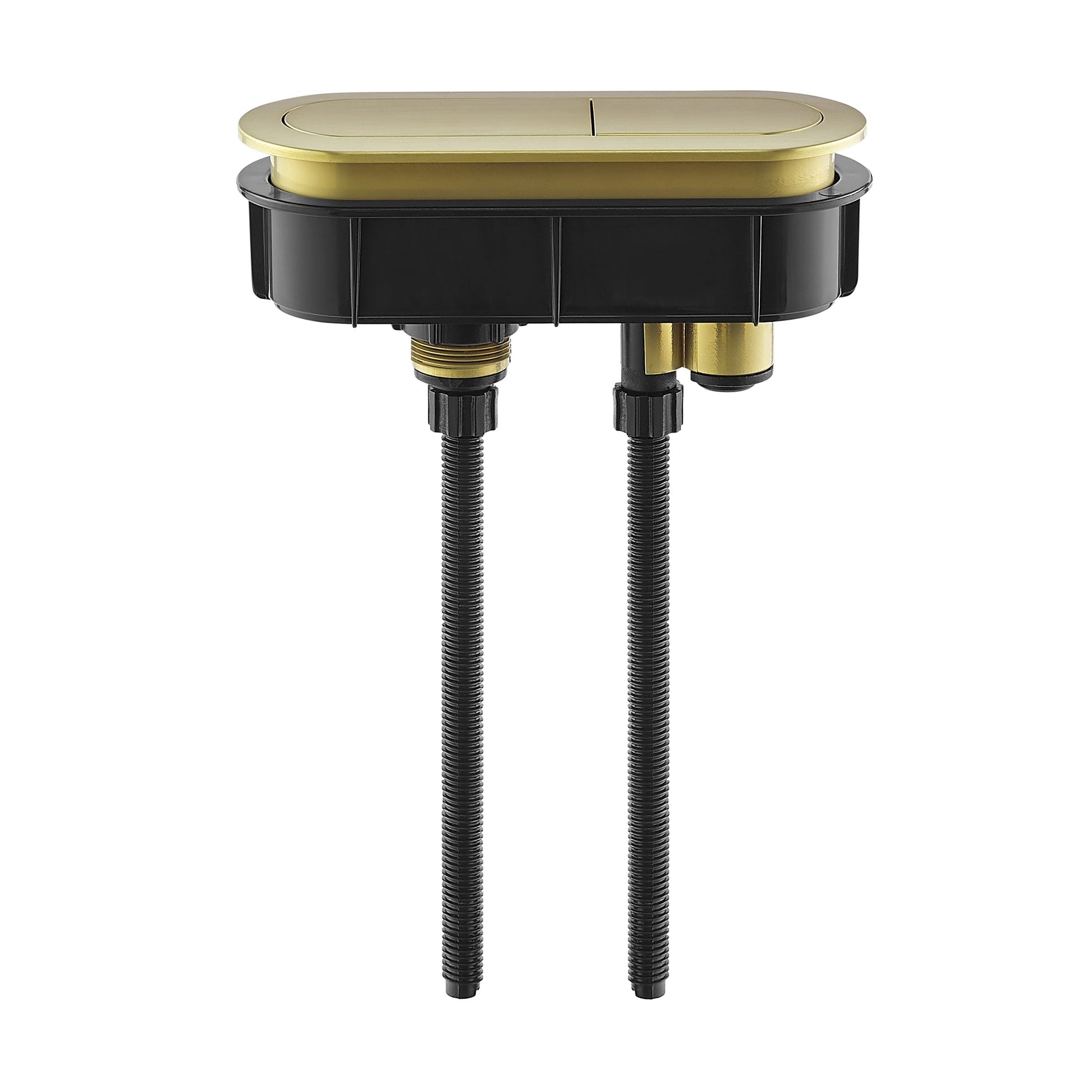 Brushed Gold / Elongated Oval / SM-1T254