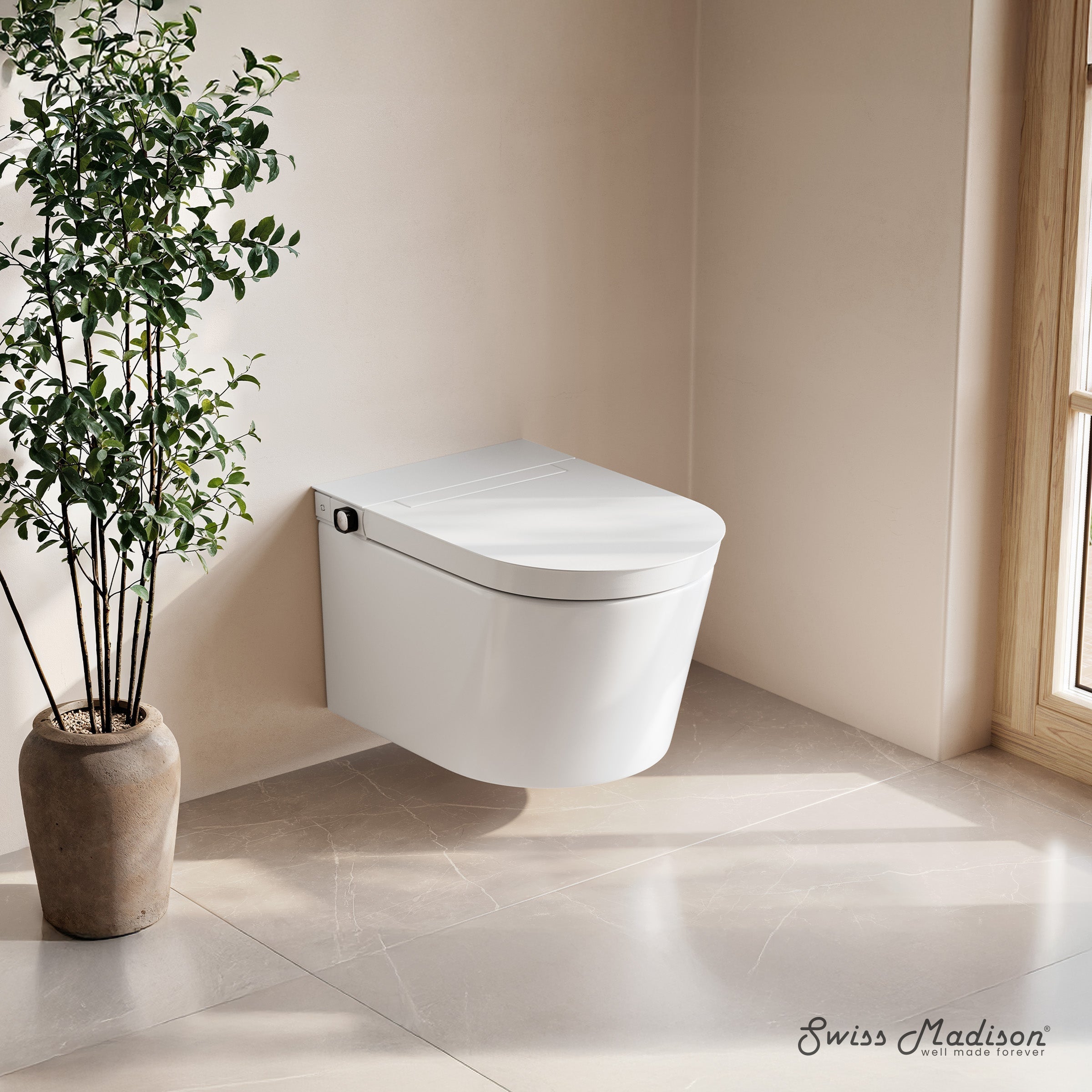 Glossy White / Manual Bidet