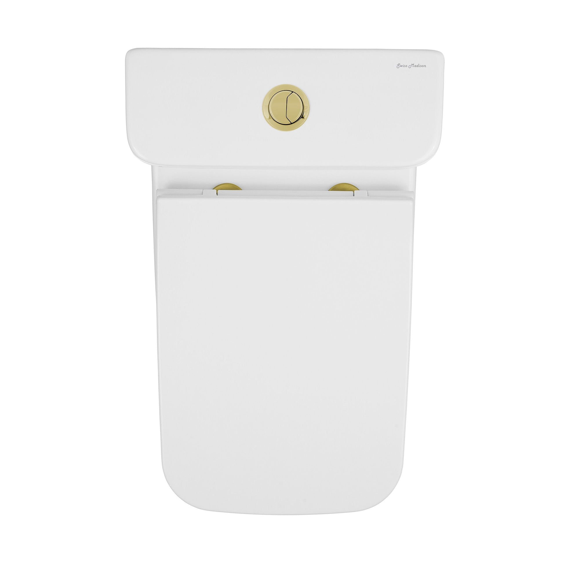 Glossy White / Dual - Top / Gold