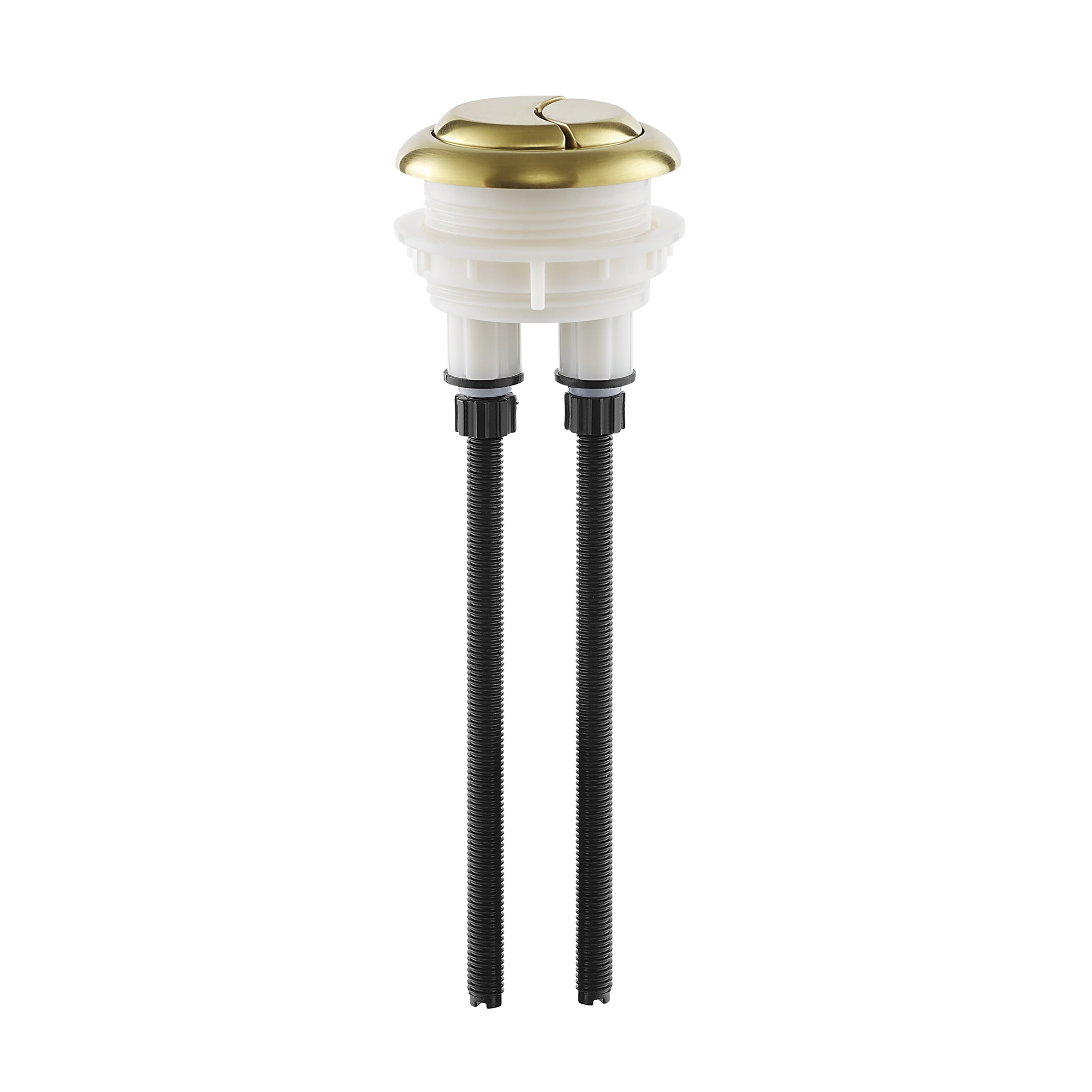 Brushed Gold / Round / SM-1T112