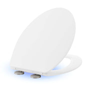 Glossy White