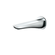 Polished Chrome