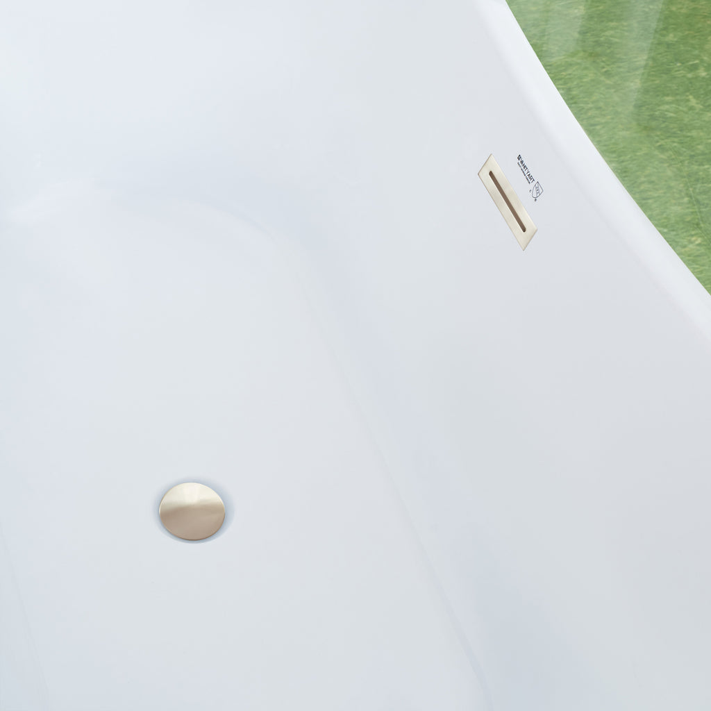 White / Brushed Nickel